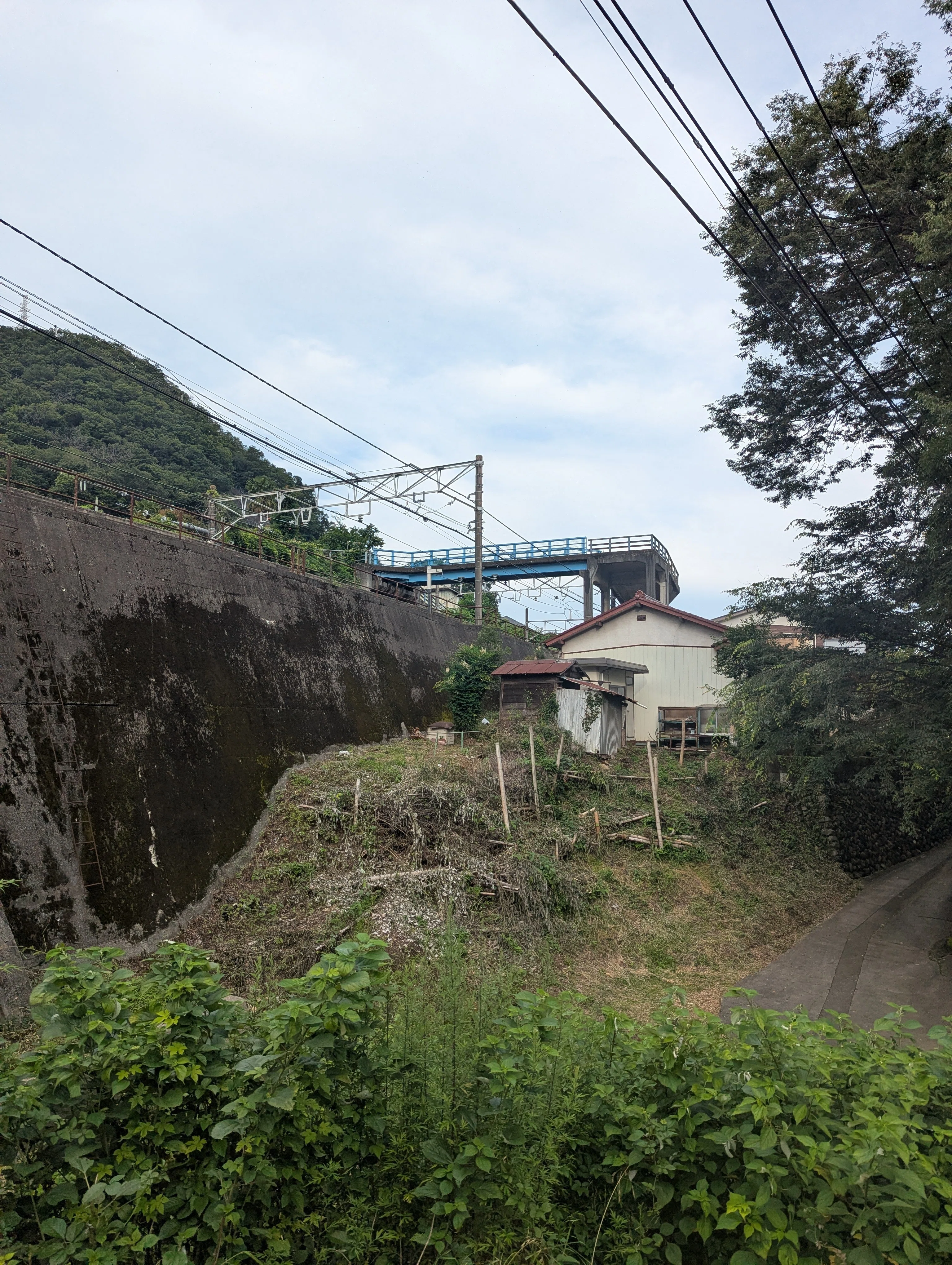 虹の橋ドッグラン　キャンバスF20号　額縁は含みません 天空の旧甲州街道橋！？ NO218「関野跨線橋」（300日刊）｜日刊 跨線橋
