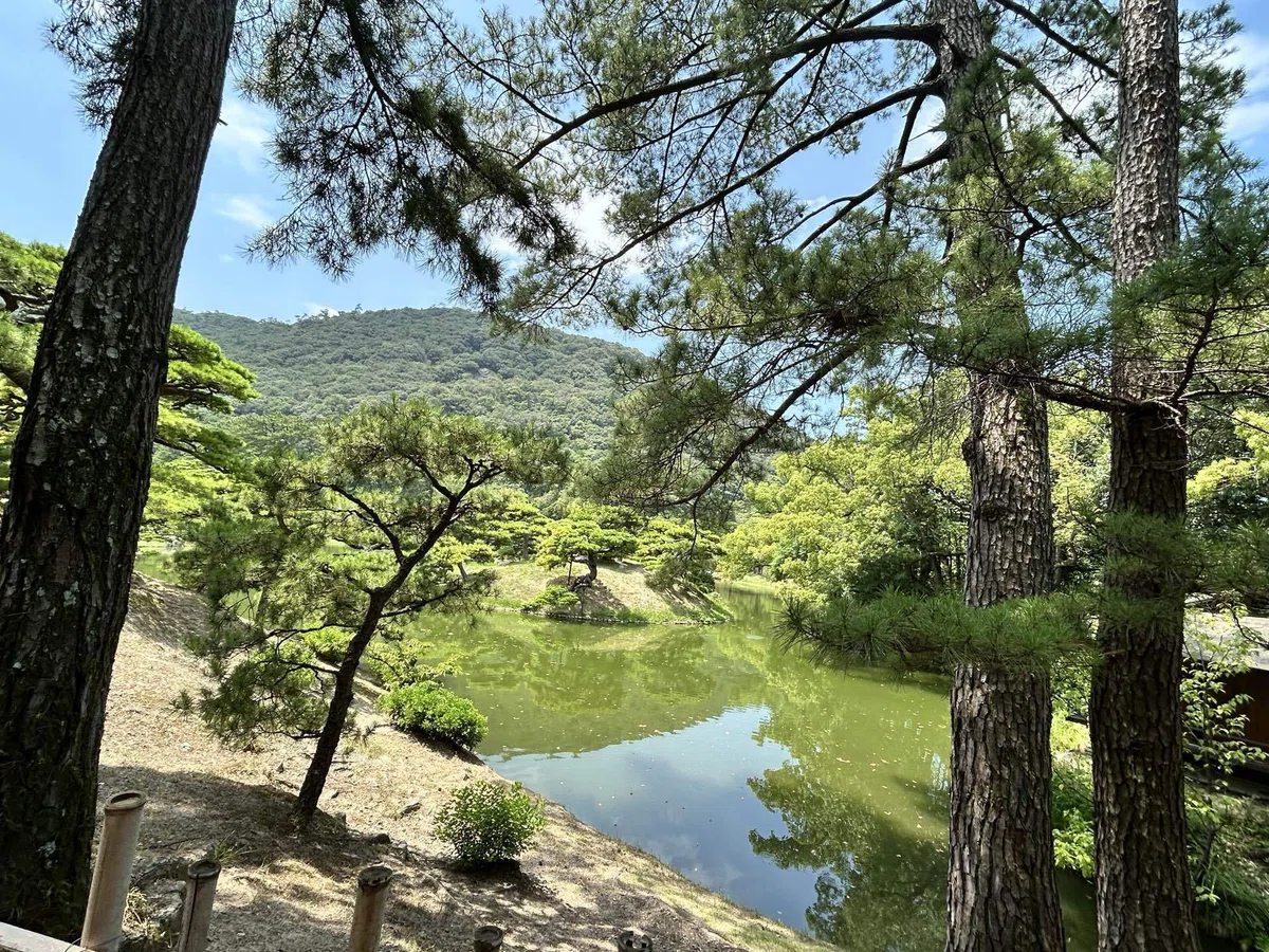画像