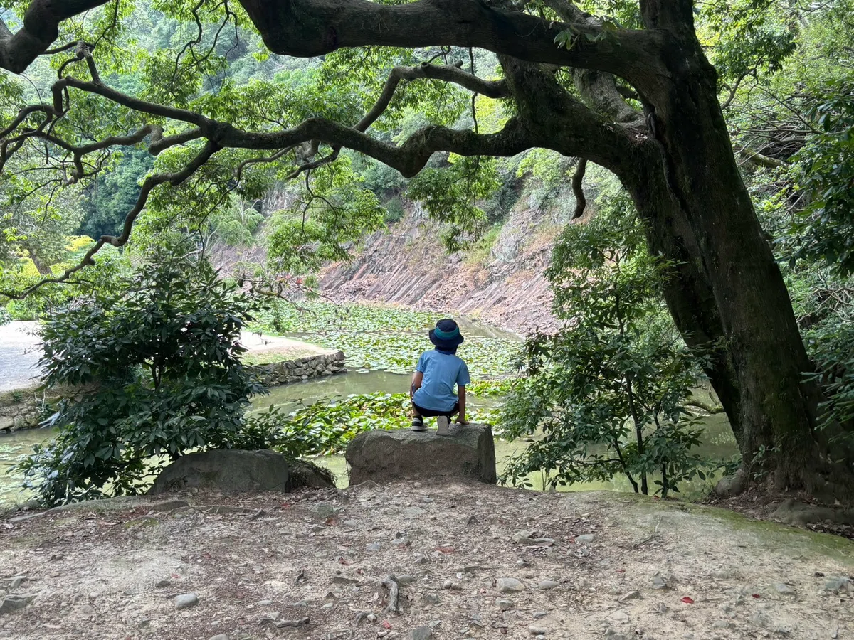 画像