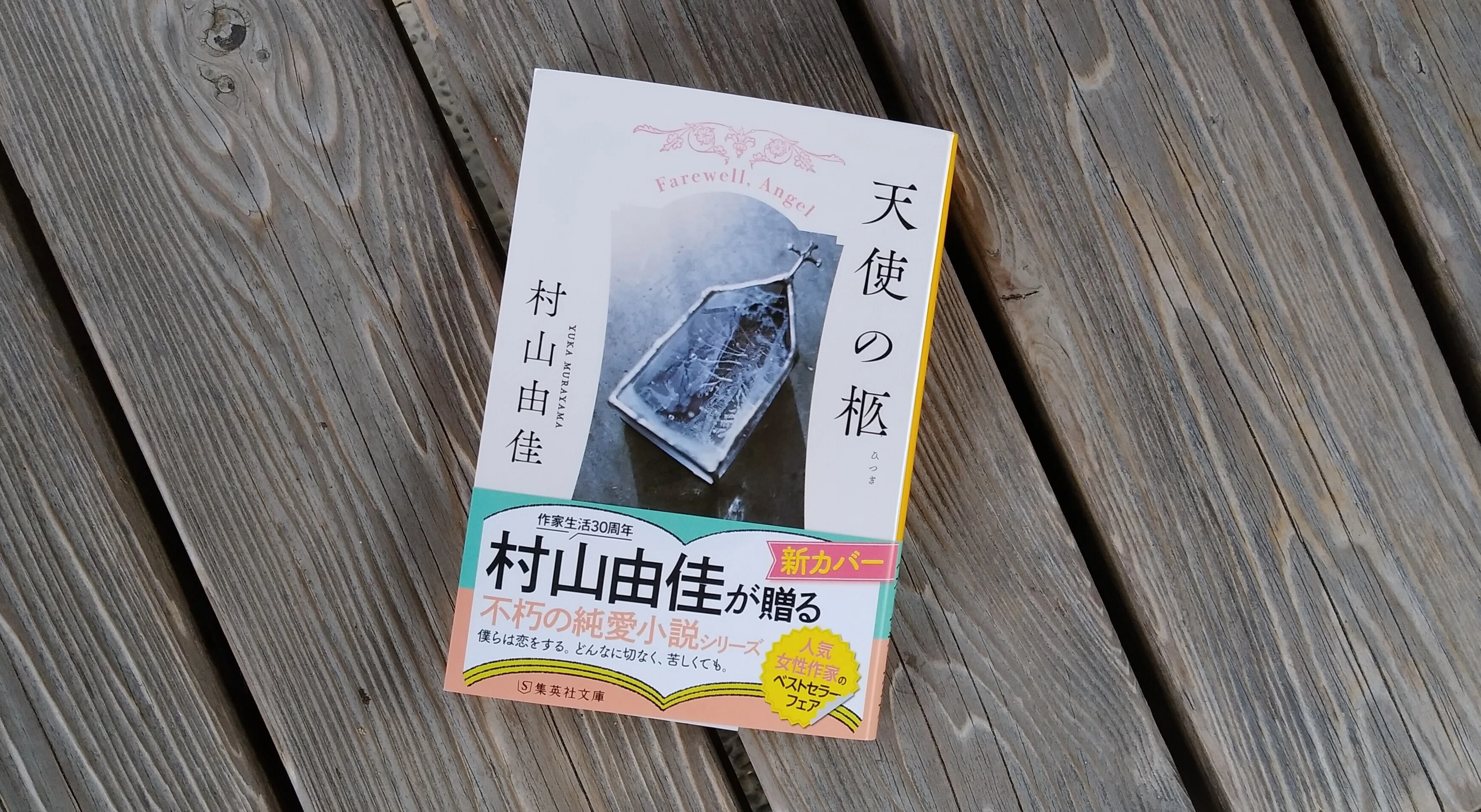 読書 | 村山由佳「天使の柩」｜山根あきら | 哲学者