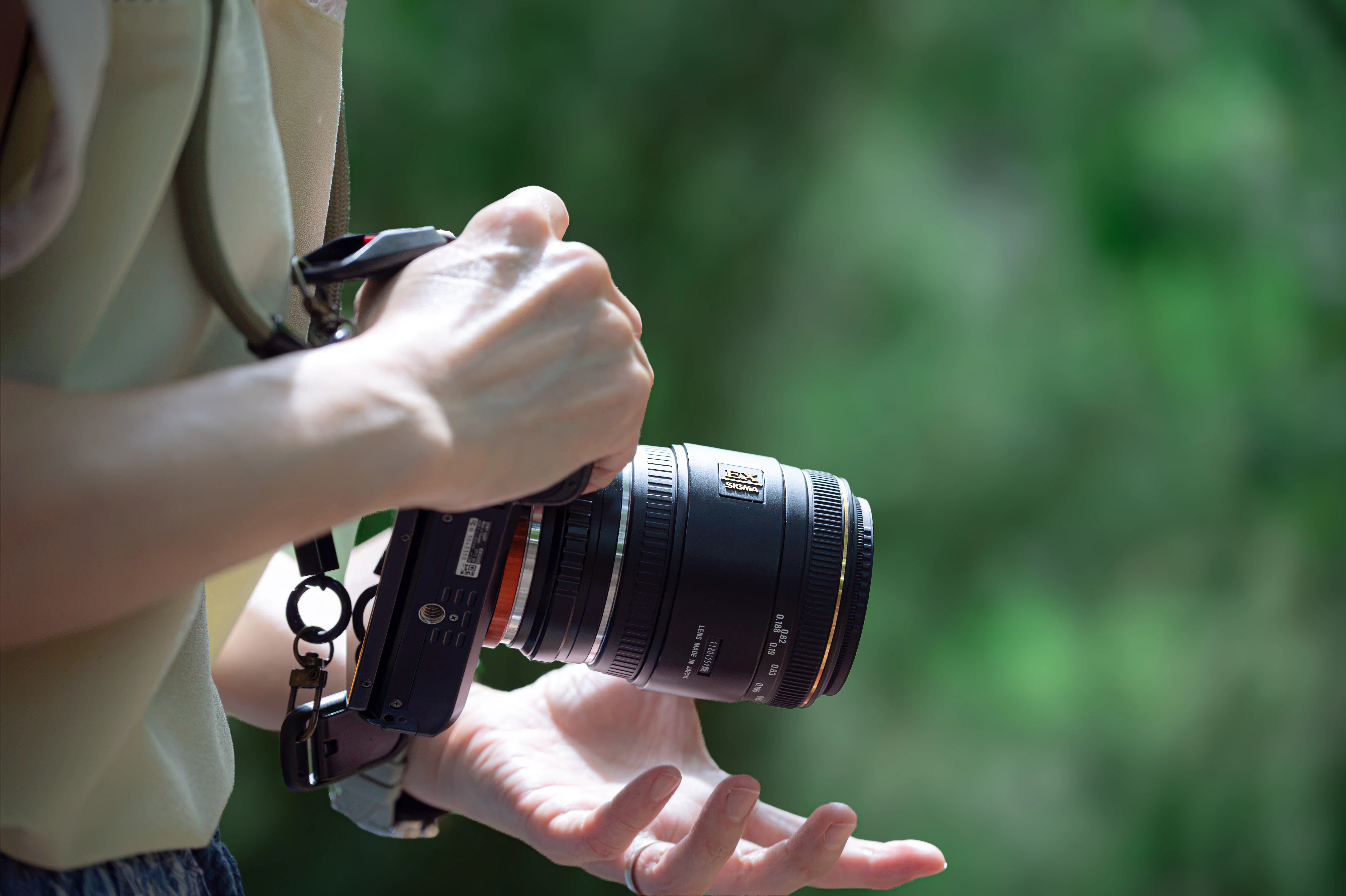 Sonyでは単焦点をあれこれ選んできた私が、NIKKOR Z 24-120mm f/4 Sの1