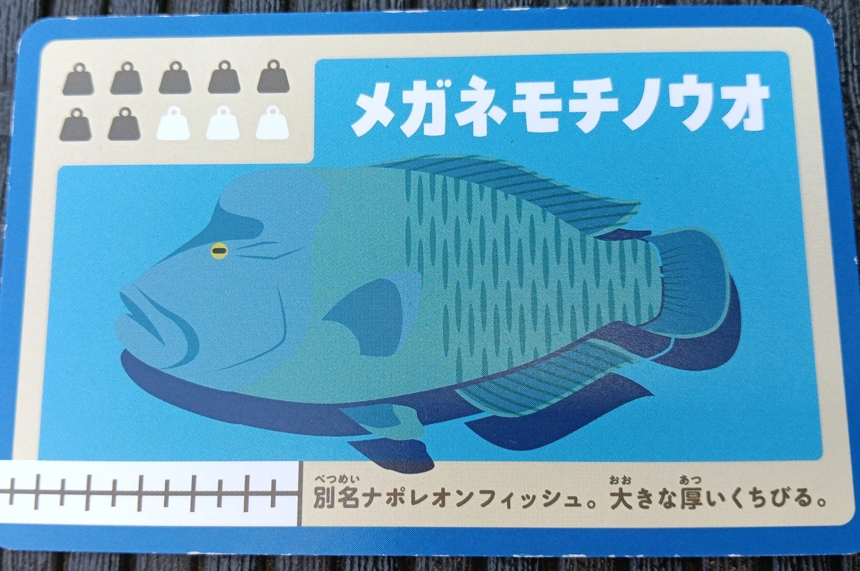 ボドツナゲーム図鑑】サカナガサ ―― 「長い魚をいっぱい釣ったら勝ち