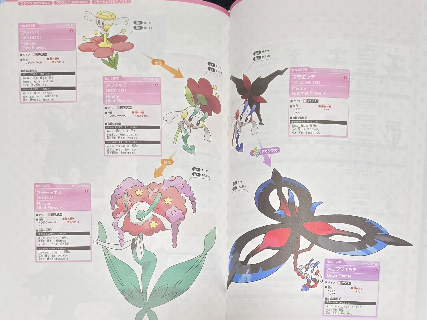 ポケモン公式全国図鑑1996-2026』を購入｜八洲加美世