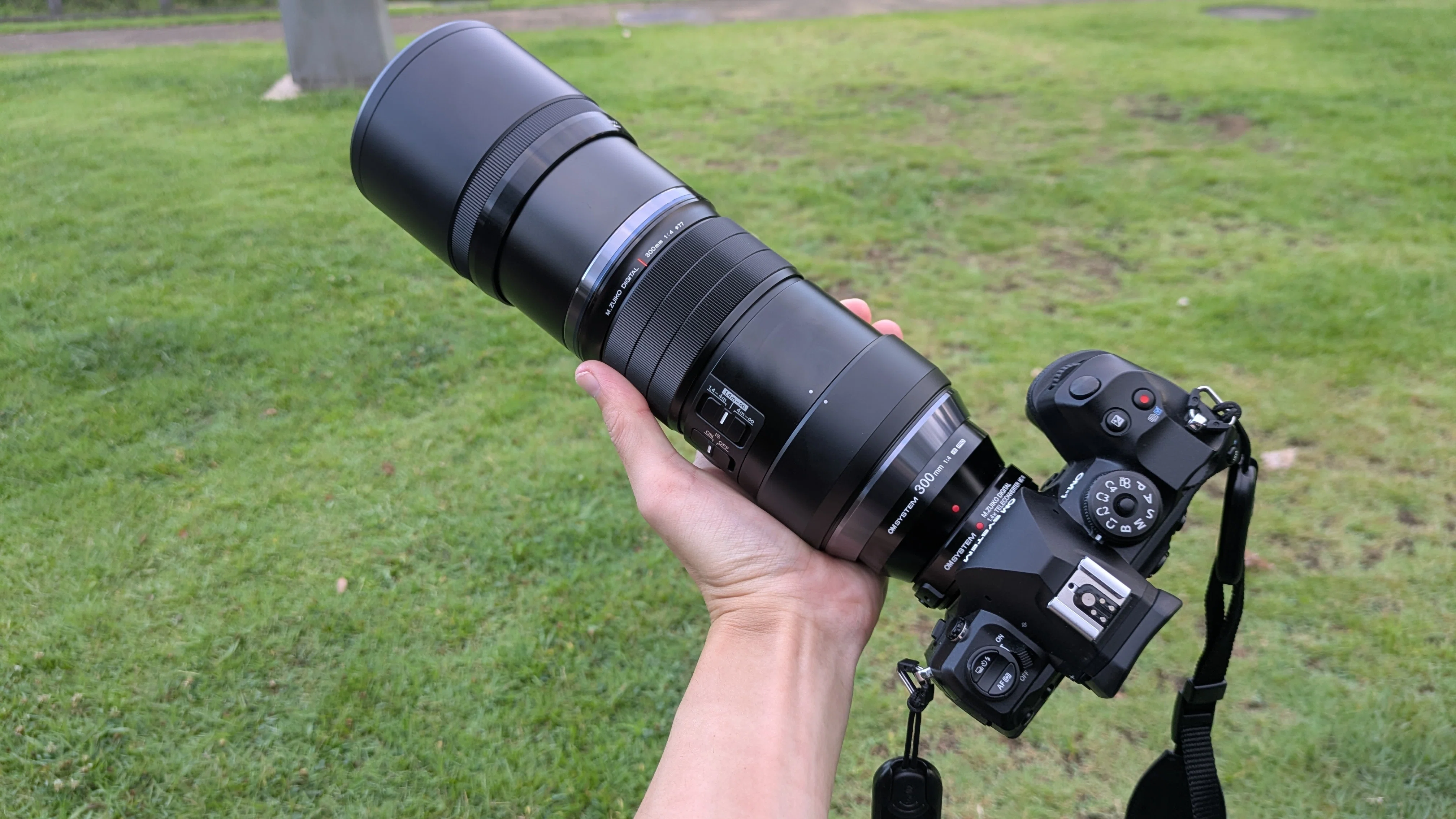 4時半起きで野鳥を撮る日々｜OM-1 Mark II + 300mm F4.0｜実写レビュー