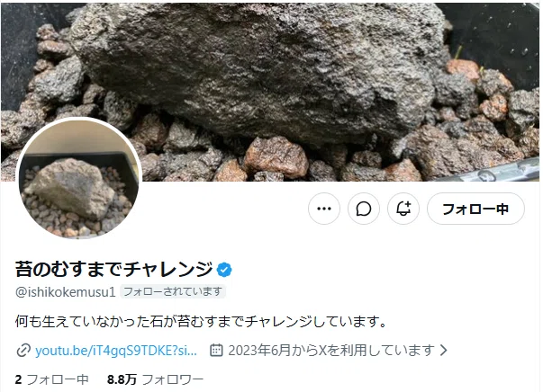 苔のむすまでチャレンジから感じた継続の大切｜道草michikusa石河英作