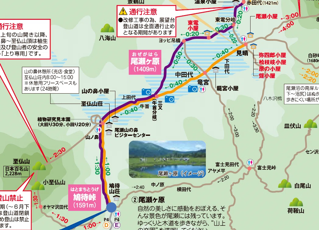 2026年8月の尾瀬 ヒツジグサは午後に咲く｜nuimogu