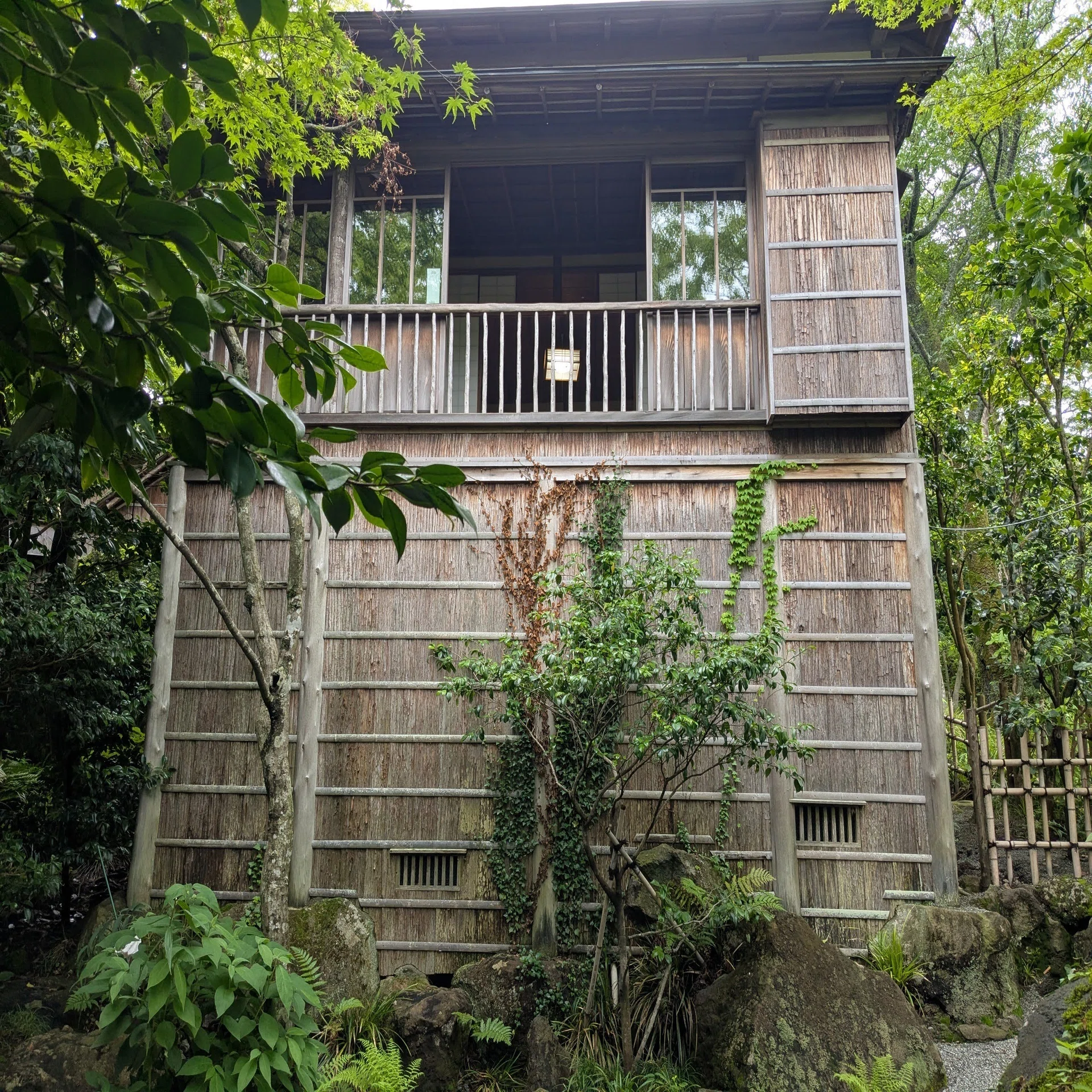 白雲 洞 茶 苑
