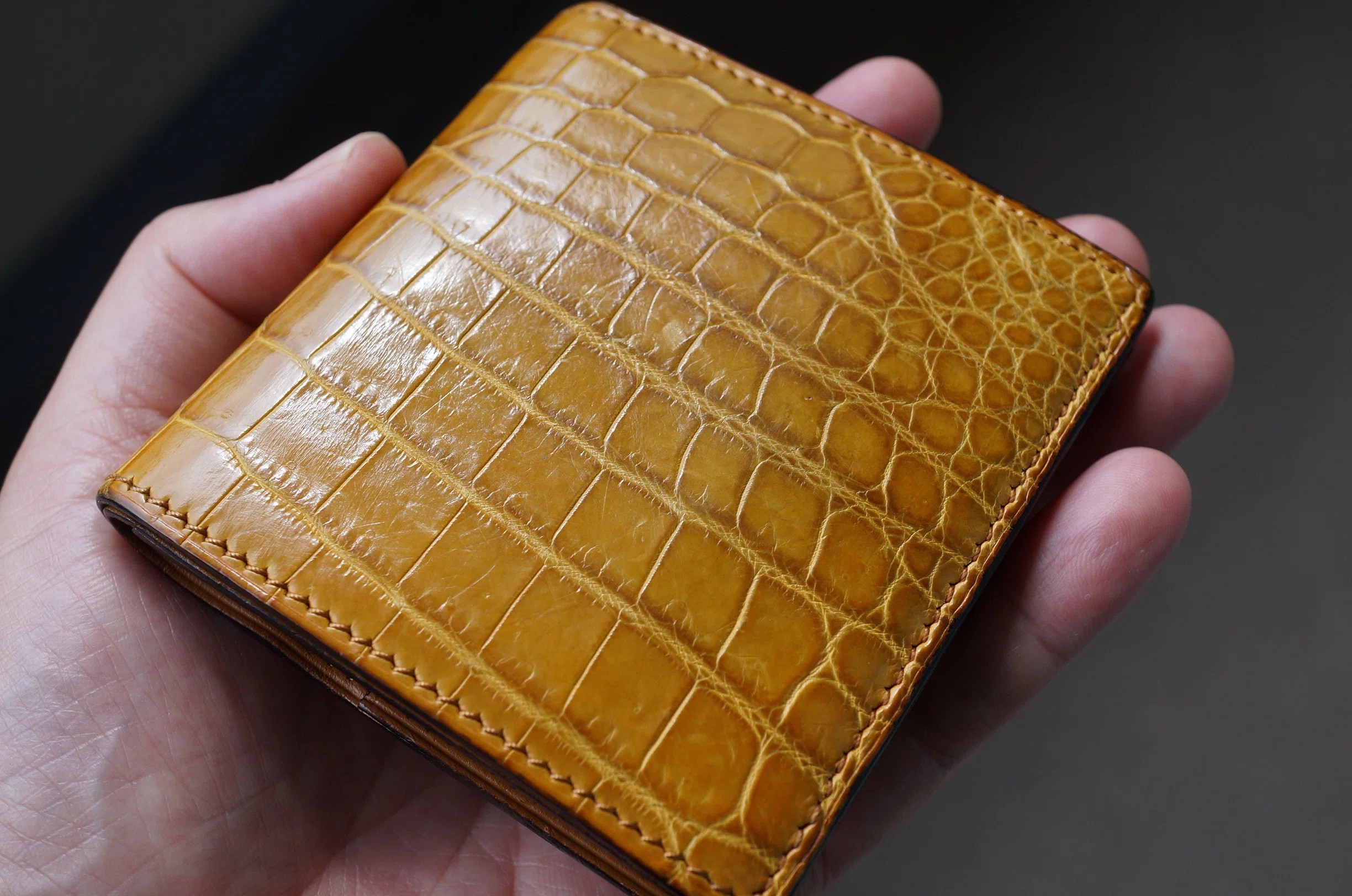 使用レビュー】8年使ったらクロコダイルの財布はどう変わる