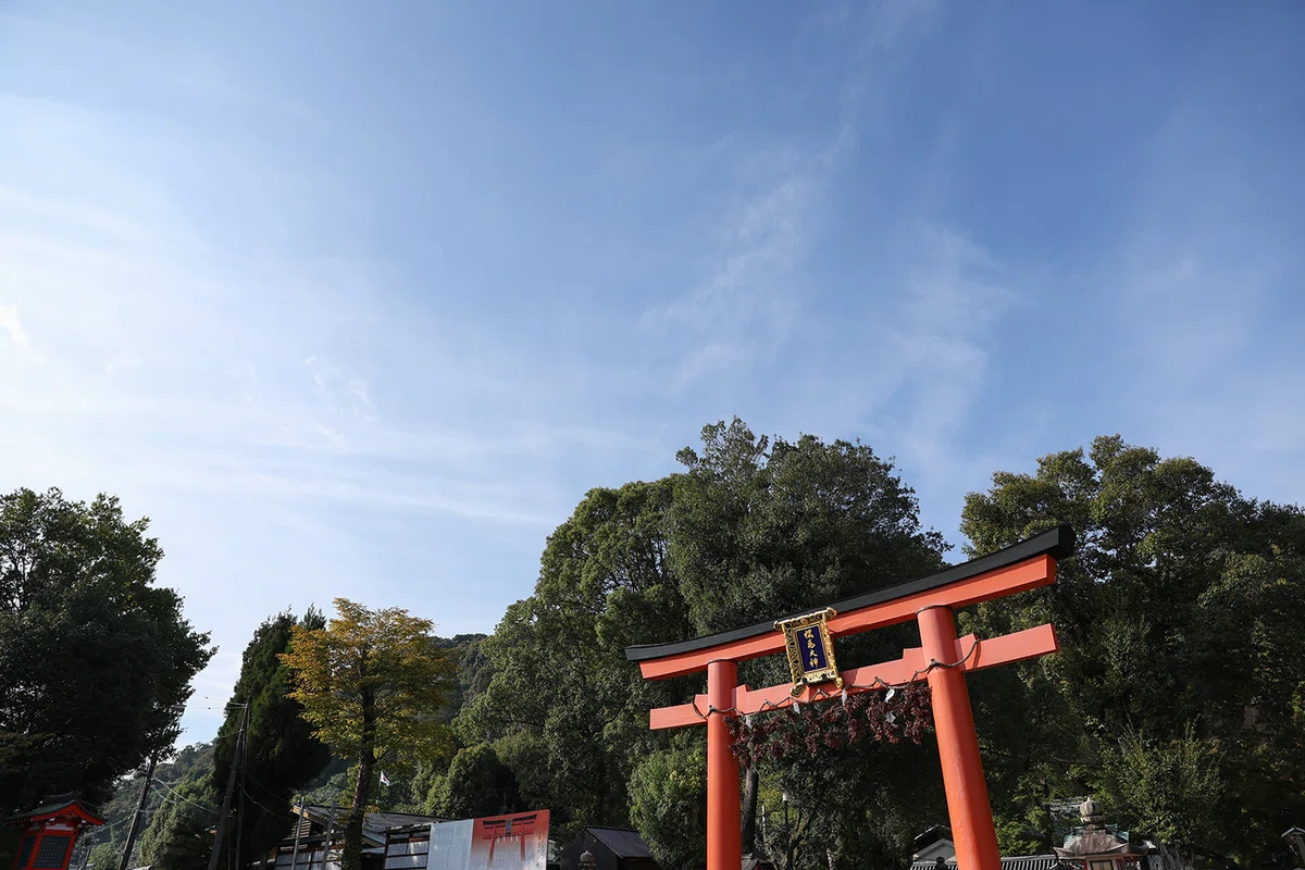 京都 松尾大社 七五三 出張撮影