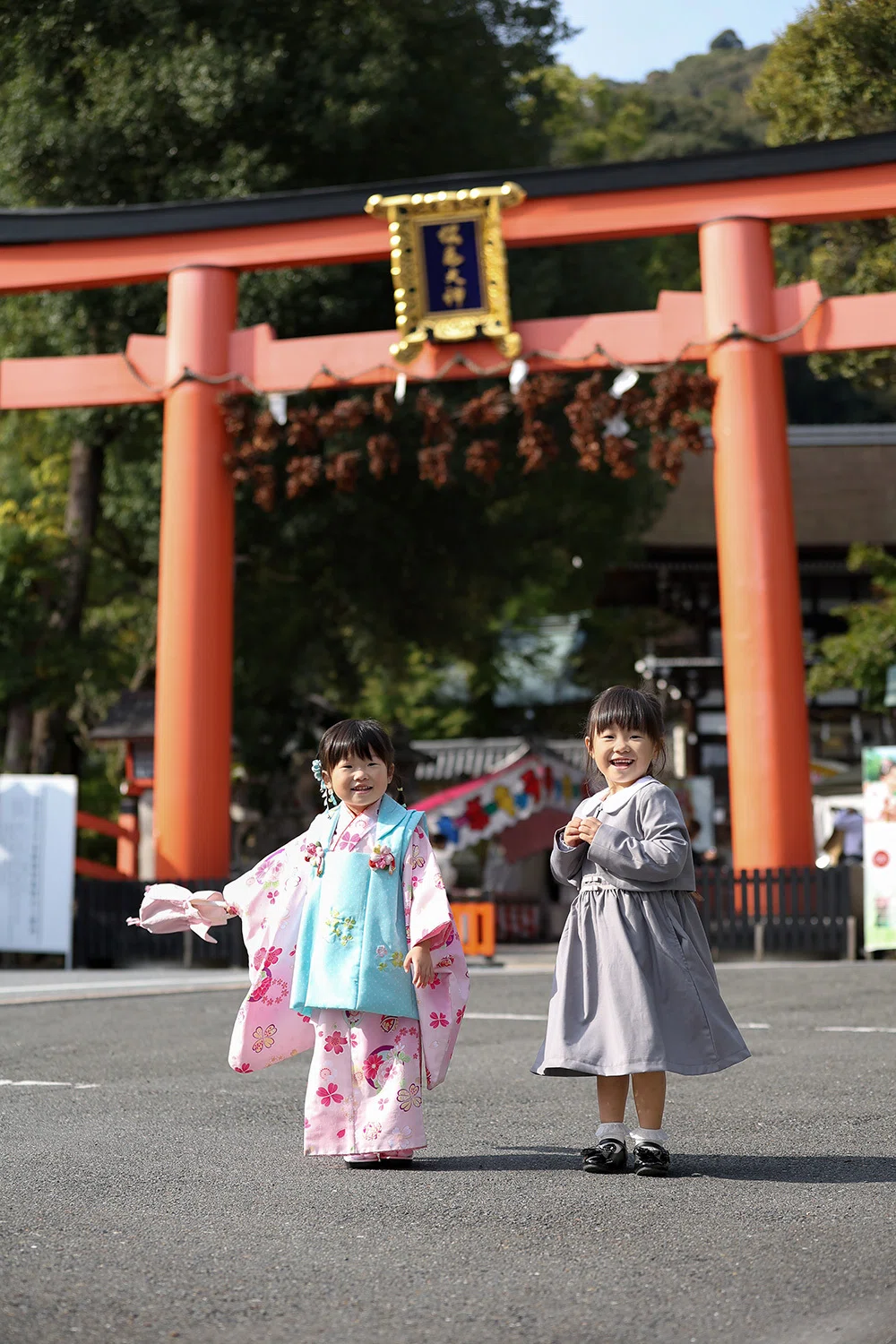 京都 松尾大社 七五三 出張撮影