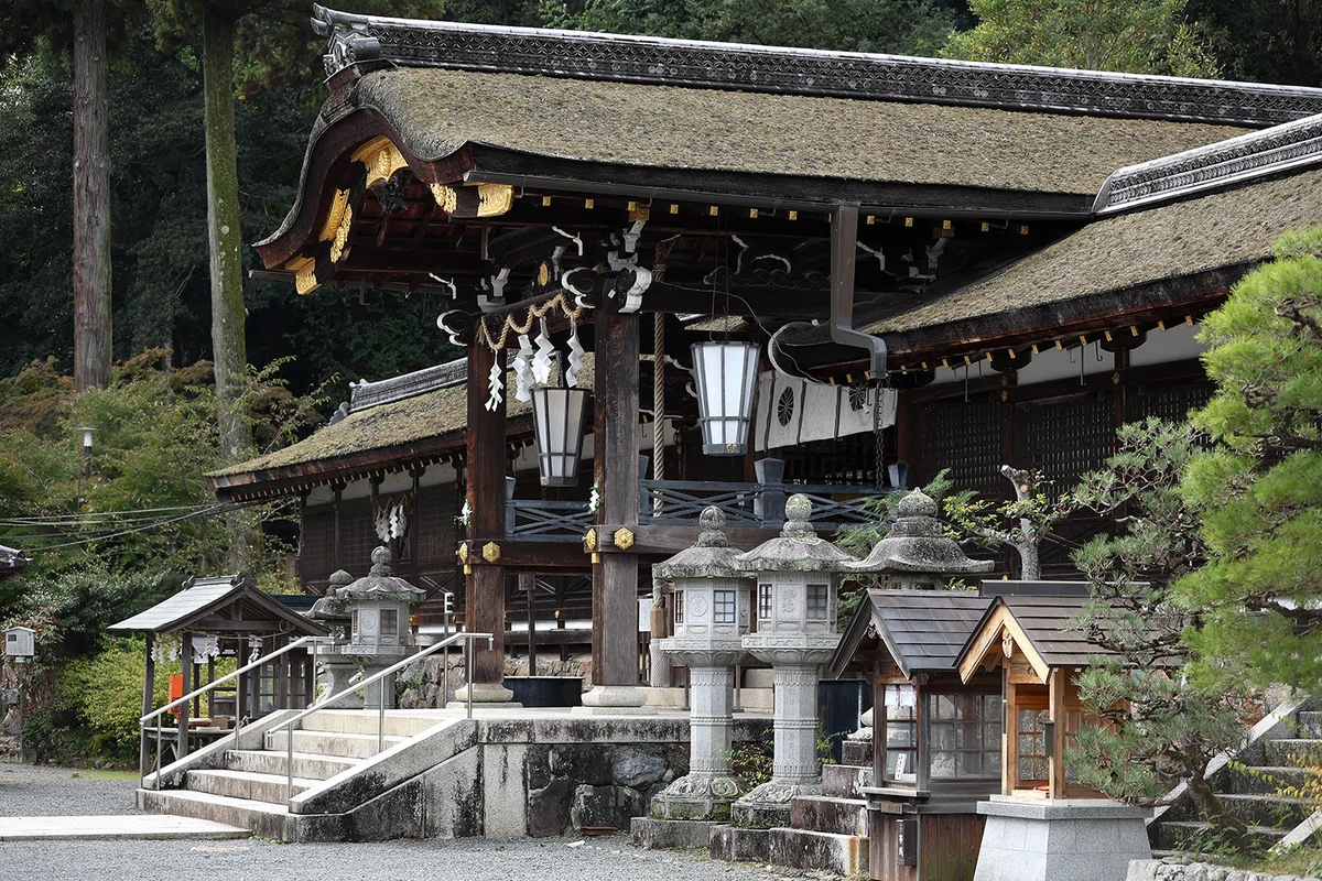 京都 松尾大社 七五三 出張撮影