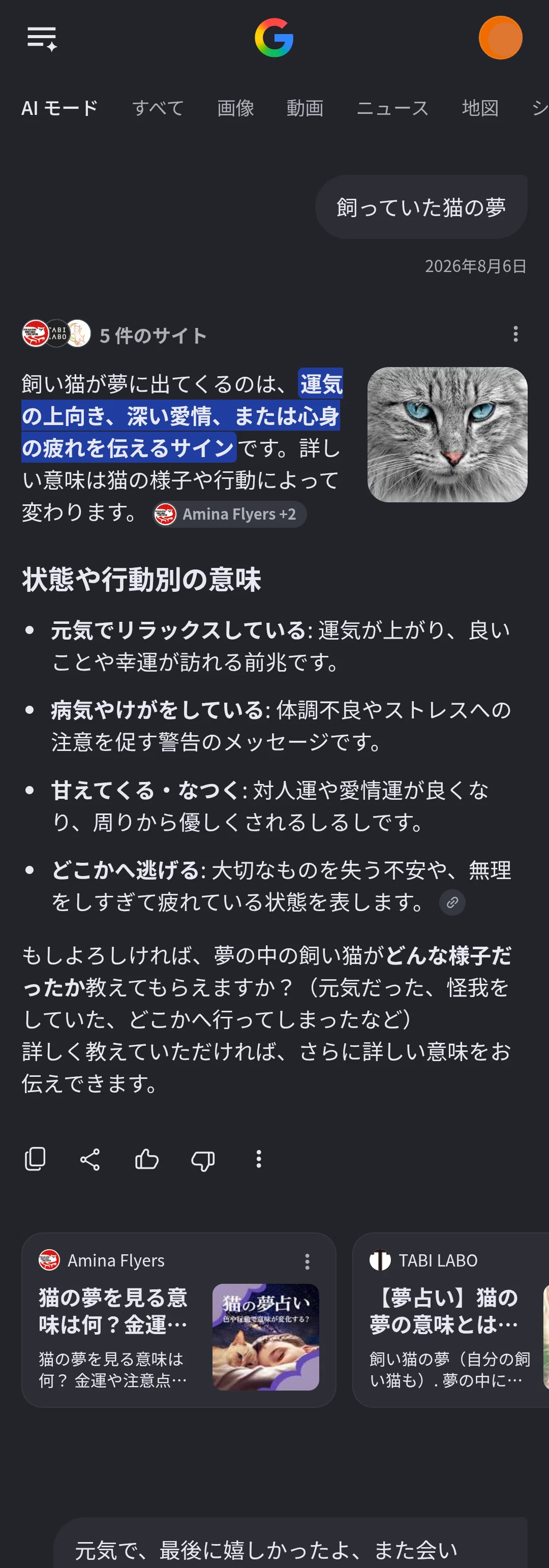 今月最初のうちの猫の夢診断 [１]