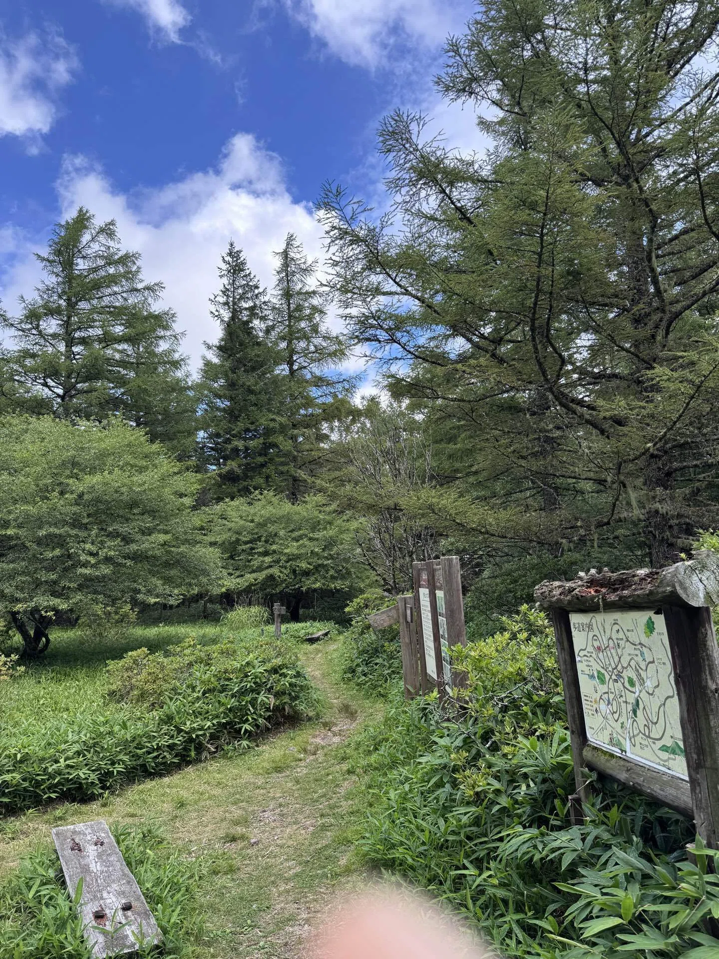 2026年8月_北八ヶ岳遠征探鳥｜daffy