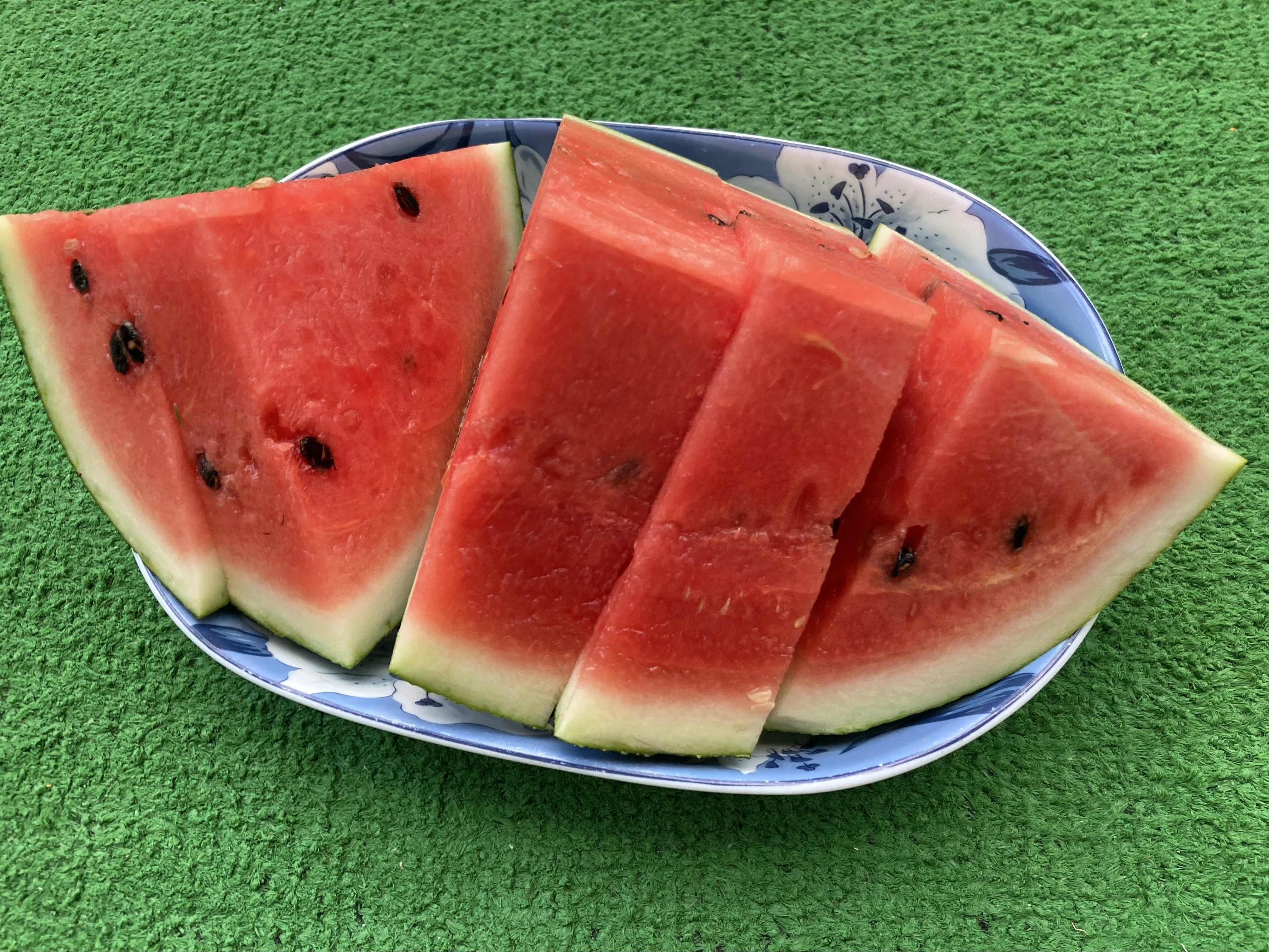 スイカ様 夏はスイカなのである｜オールドハリー・ロックス