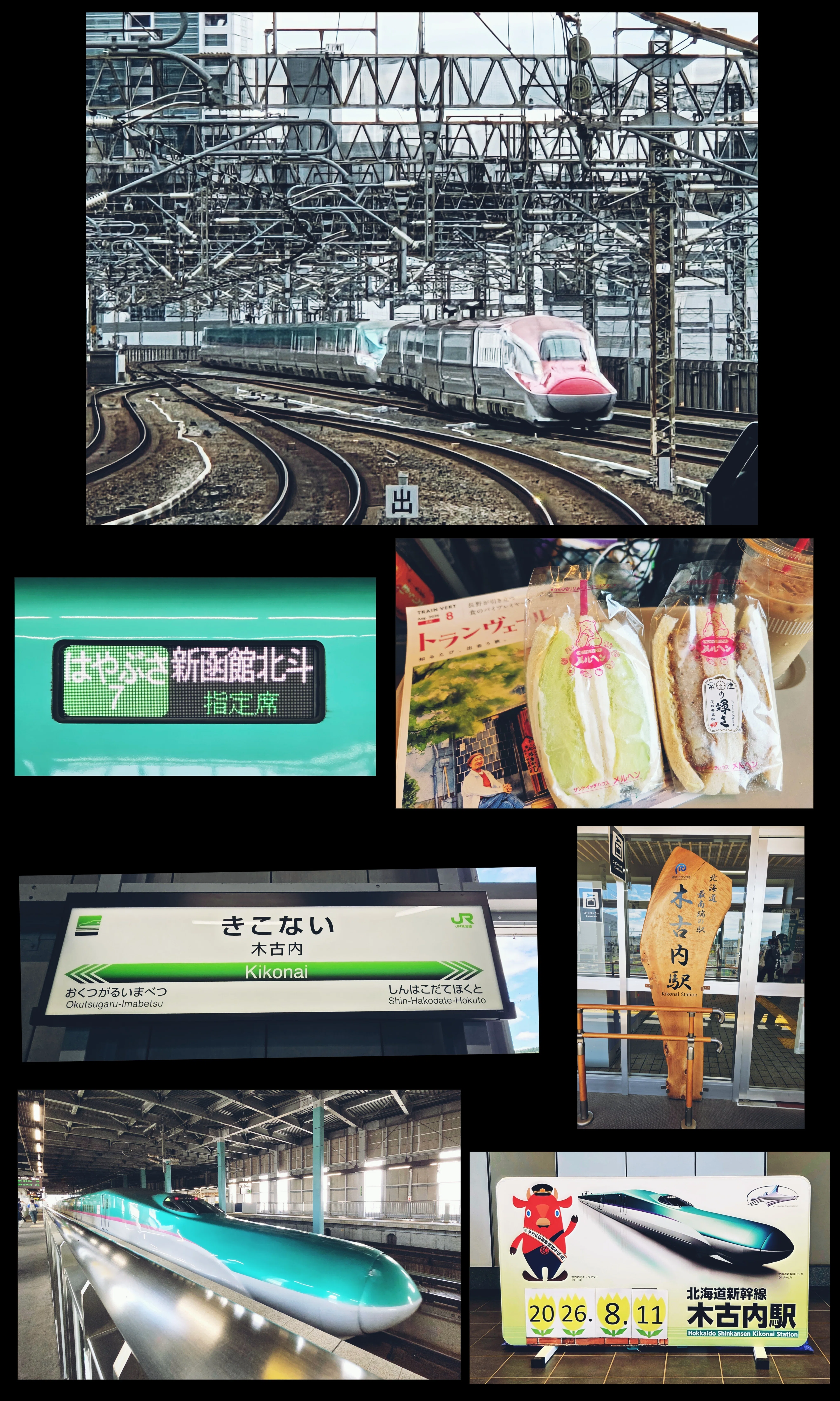 函館へ。食べて、乗って、歩いて。｜紫陽花