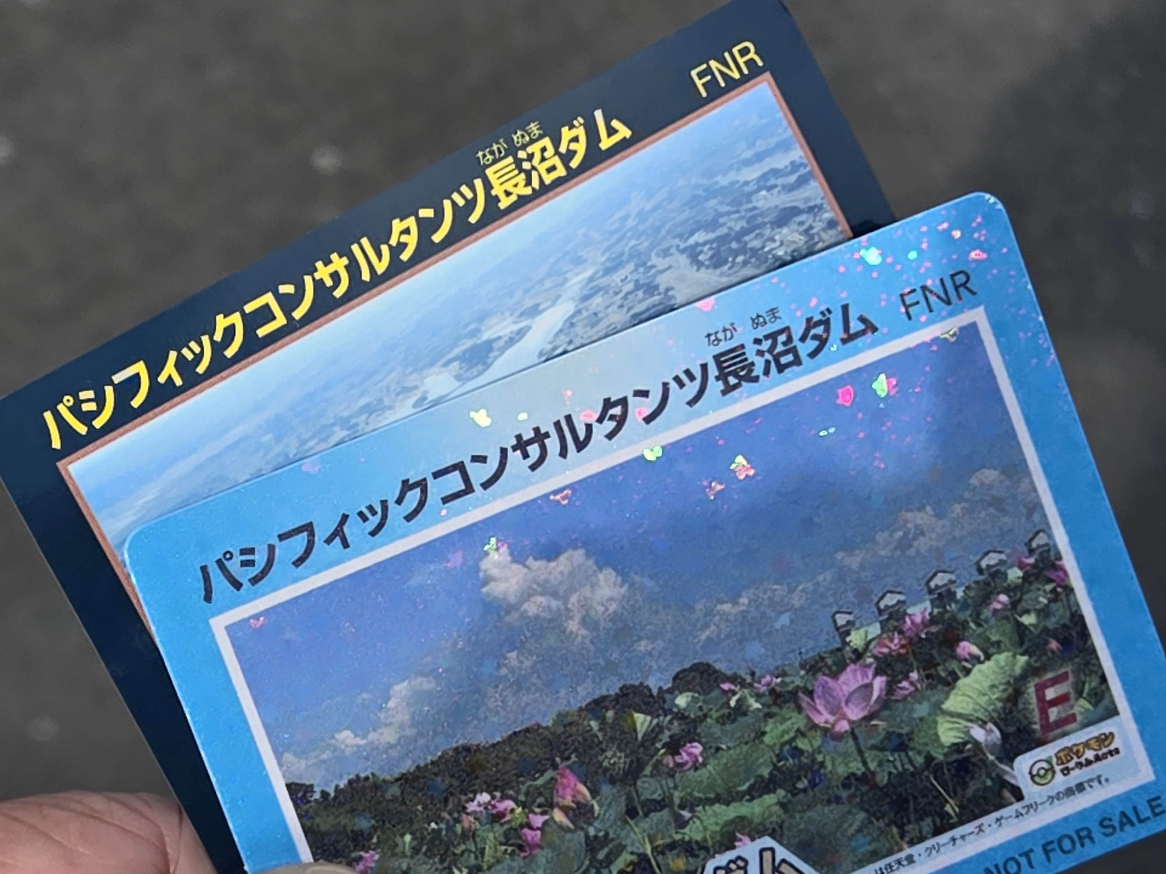 ラプラス ダムカード 2026夏 2枚セット ダムへ行こう！ラプラスでダムカードゲットだぜ！2026夏シーズン｜仂