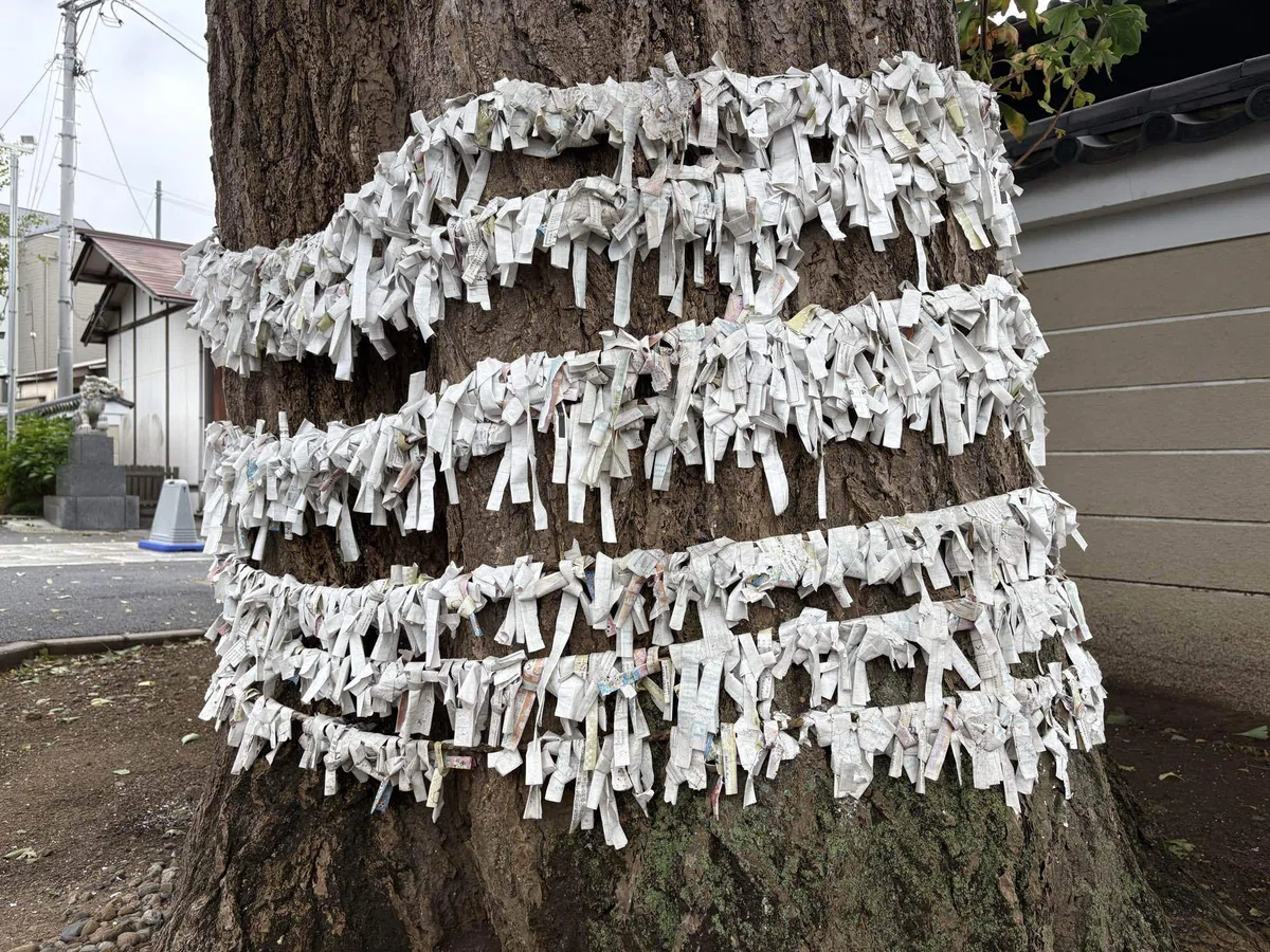 画像