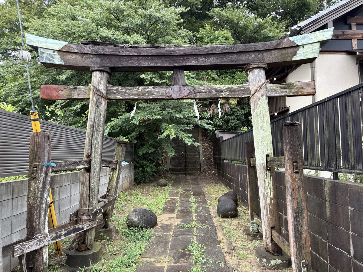 画像
