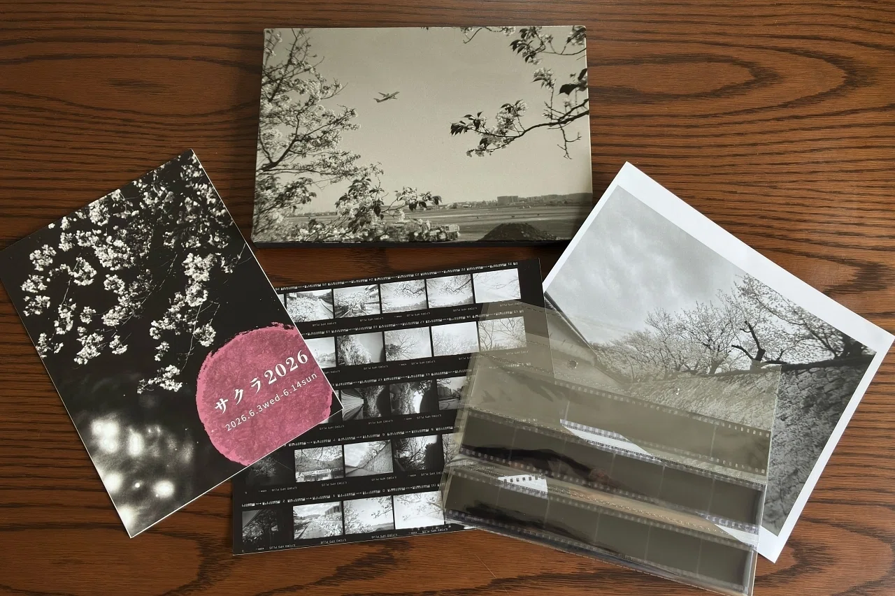 立秋も過ぎ、暦の上では秋ですが、今年の桜の写真のお話です(^^;｜Hide