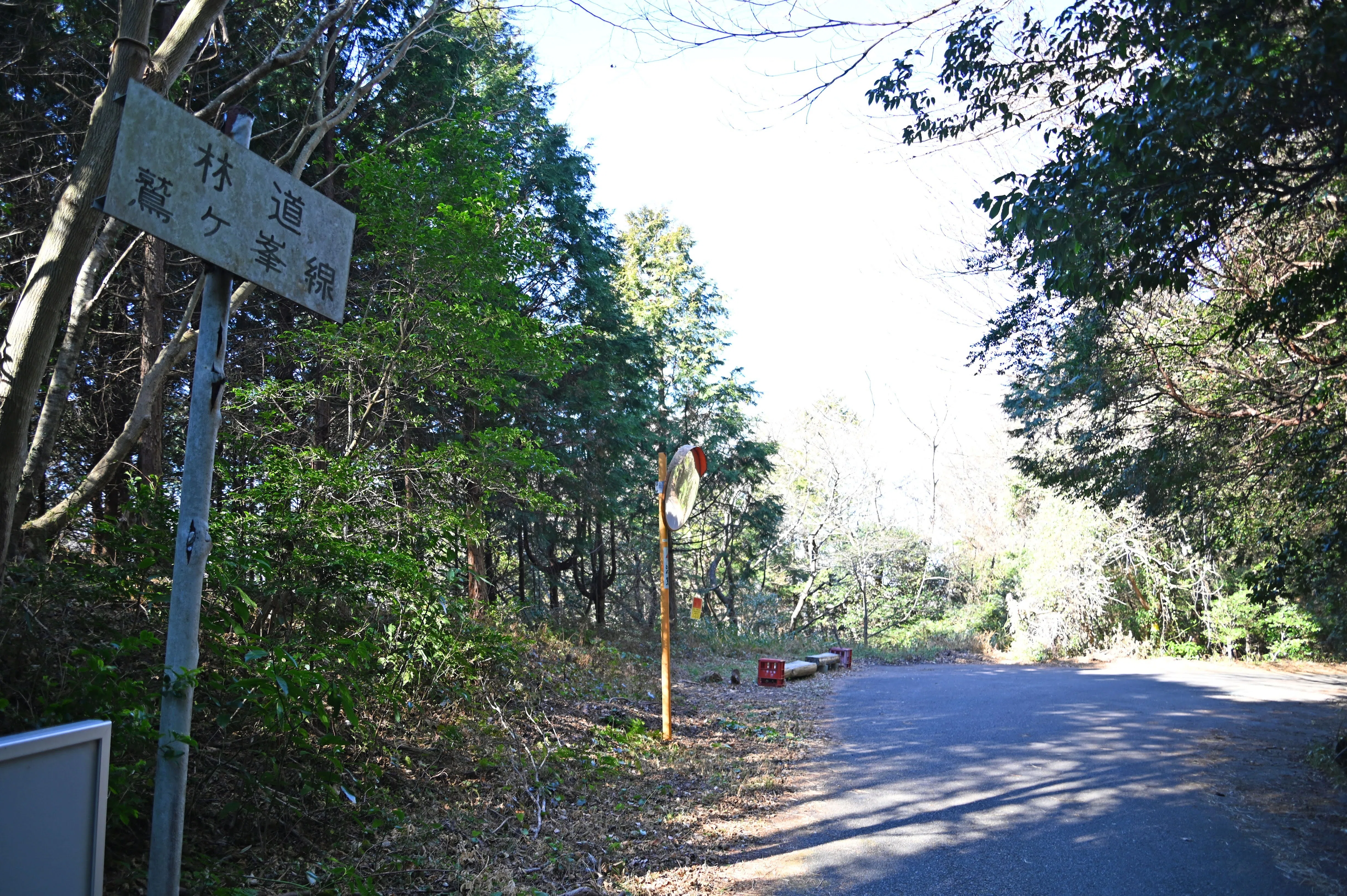 Entrance to the Forest: Sarutahiko Mikawa Shrine in Okusa, Kota Town ...