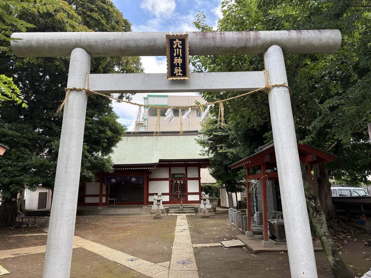 画像