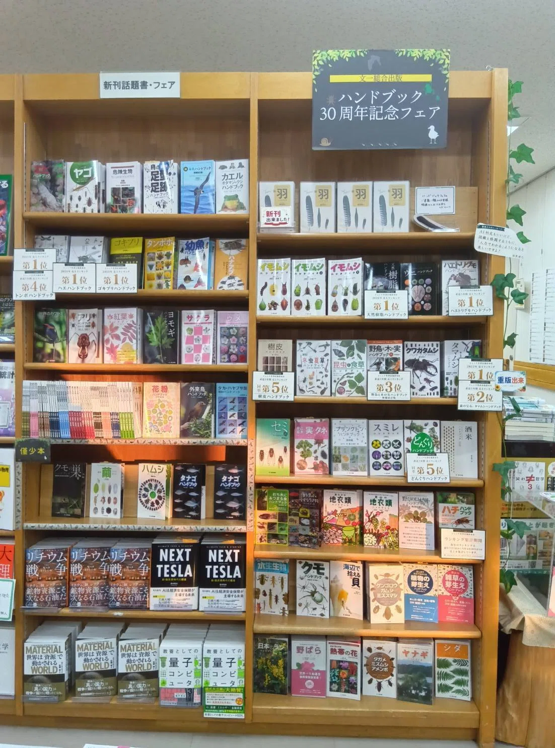 書店フェア情報（9/9更新）｜ブンイチ（文一総合出版）