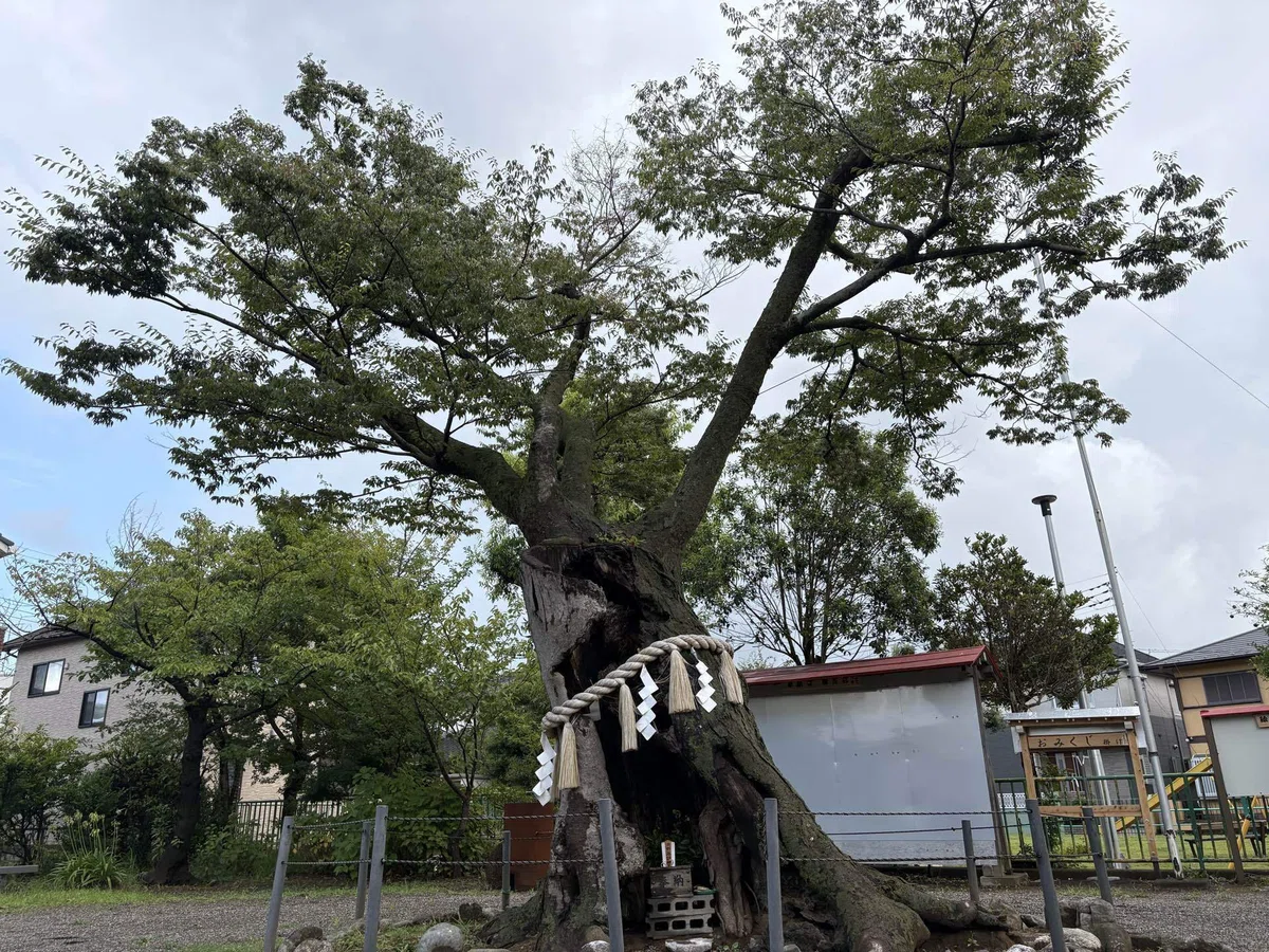 画像