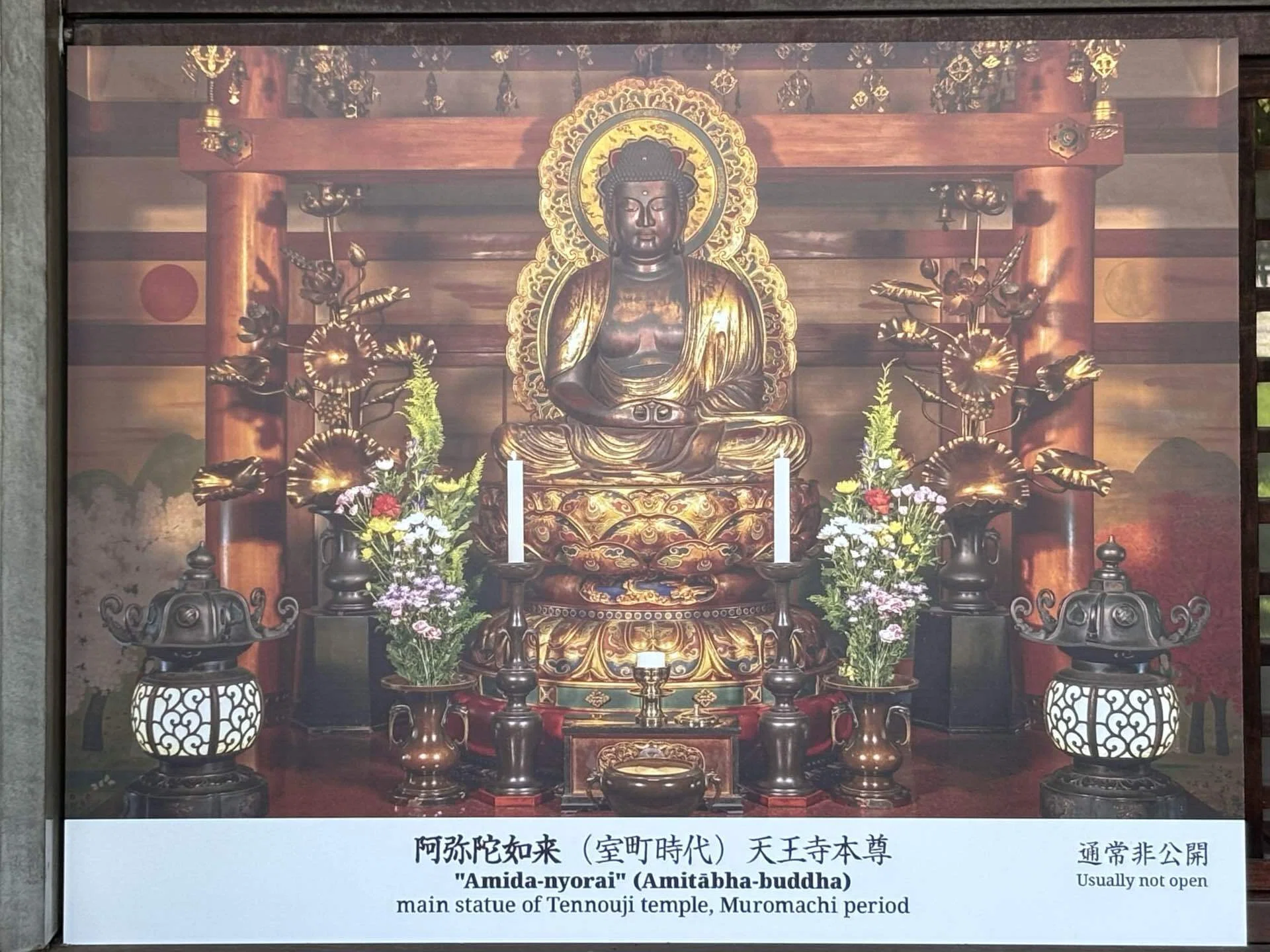 台風一過の谷中・根津を歩く――朝倉彫塑館から根津神社まで｜Xīng
