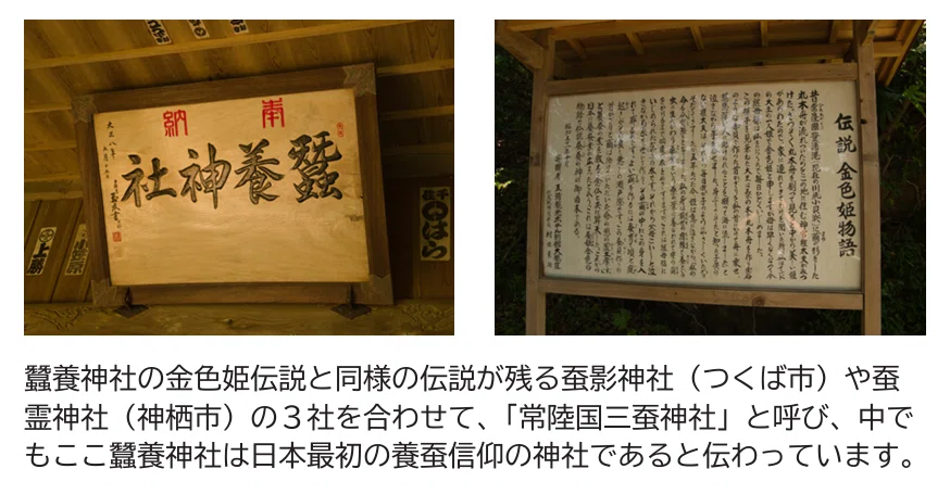 常陸国奇談】「金色姫（こんじきひめ）伝説」【養蚕信仰】｜レコの館