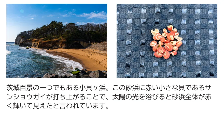 松宮 養蚕神 蚕神 金色姫命 女神 民衆仏 神像 木花開耶姫命 松宮 養蚕