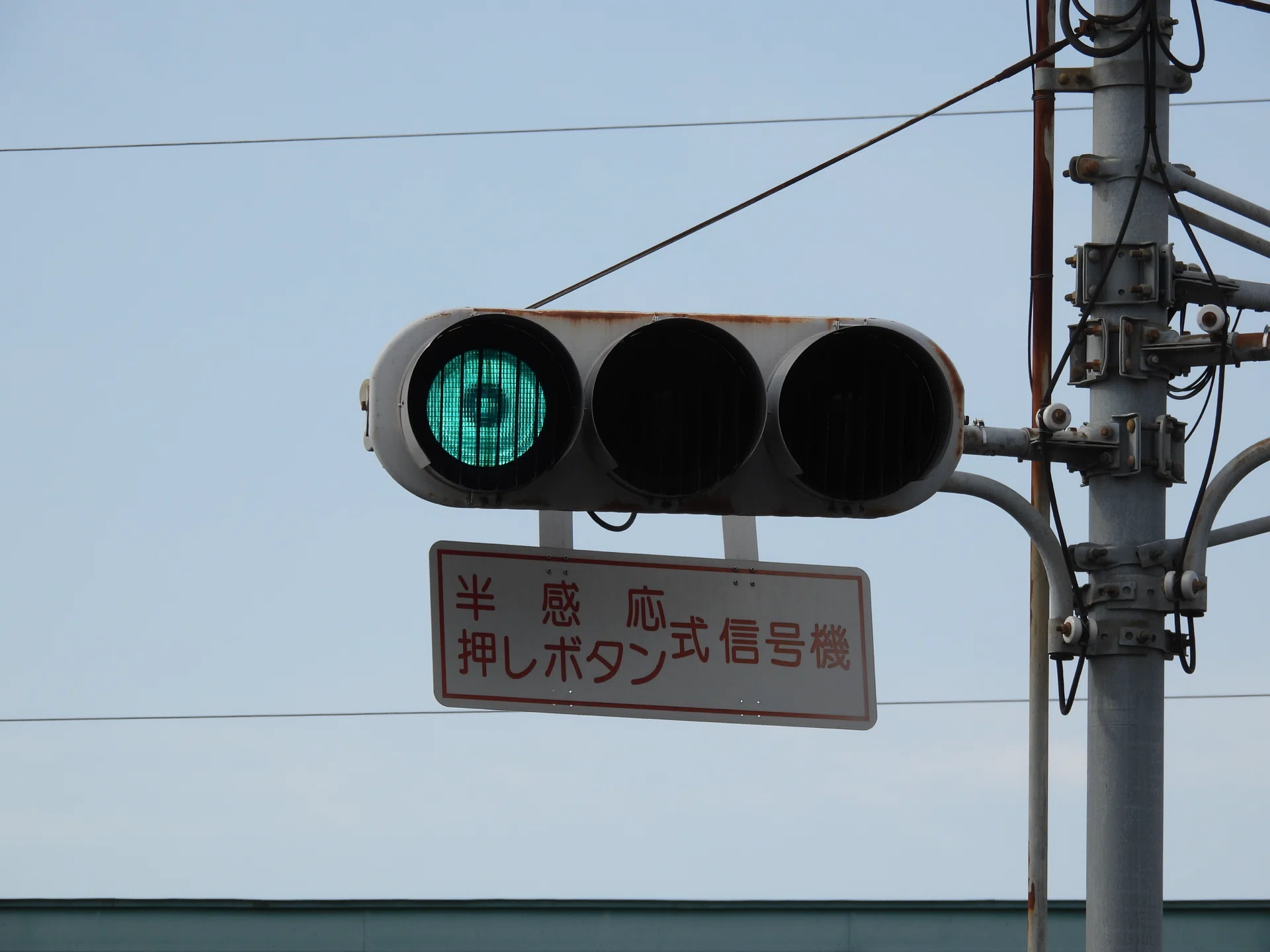 群馬濃色について｜アヤメの備忘録