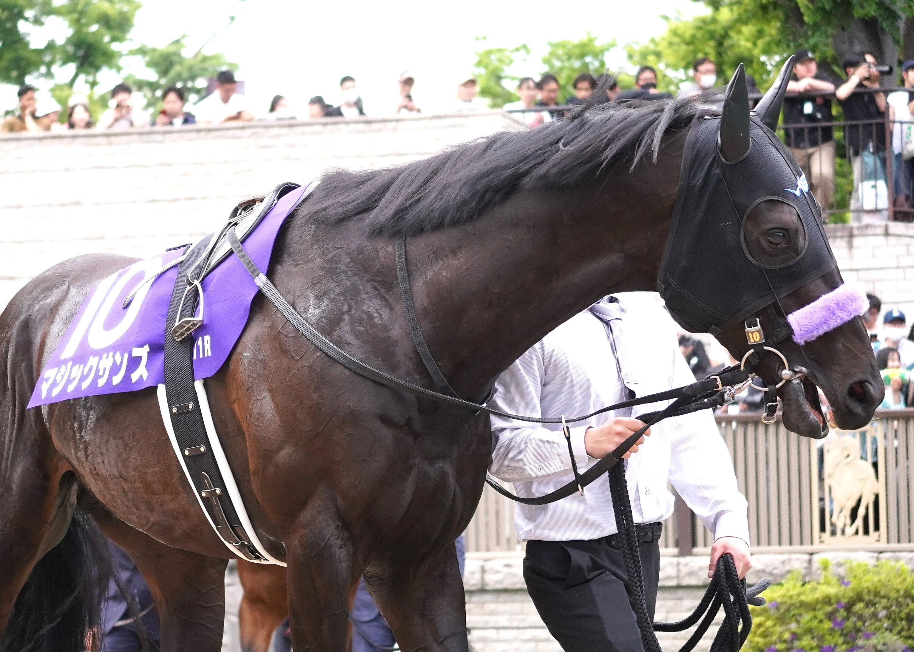 札幌記念の馬券を当てよう!!! 過去10年のデータから見えてきた今年の