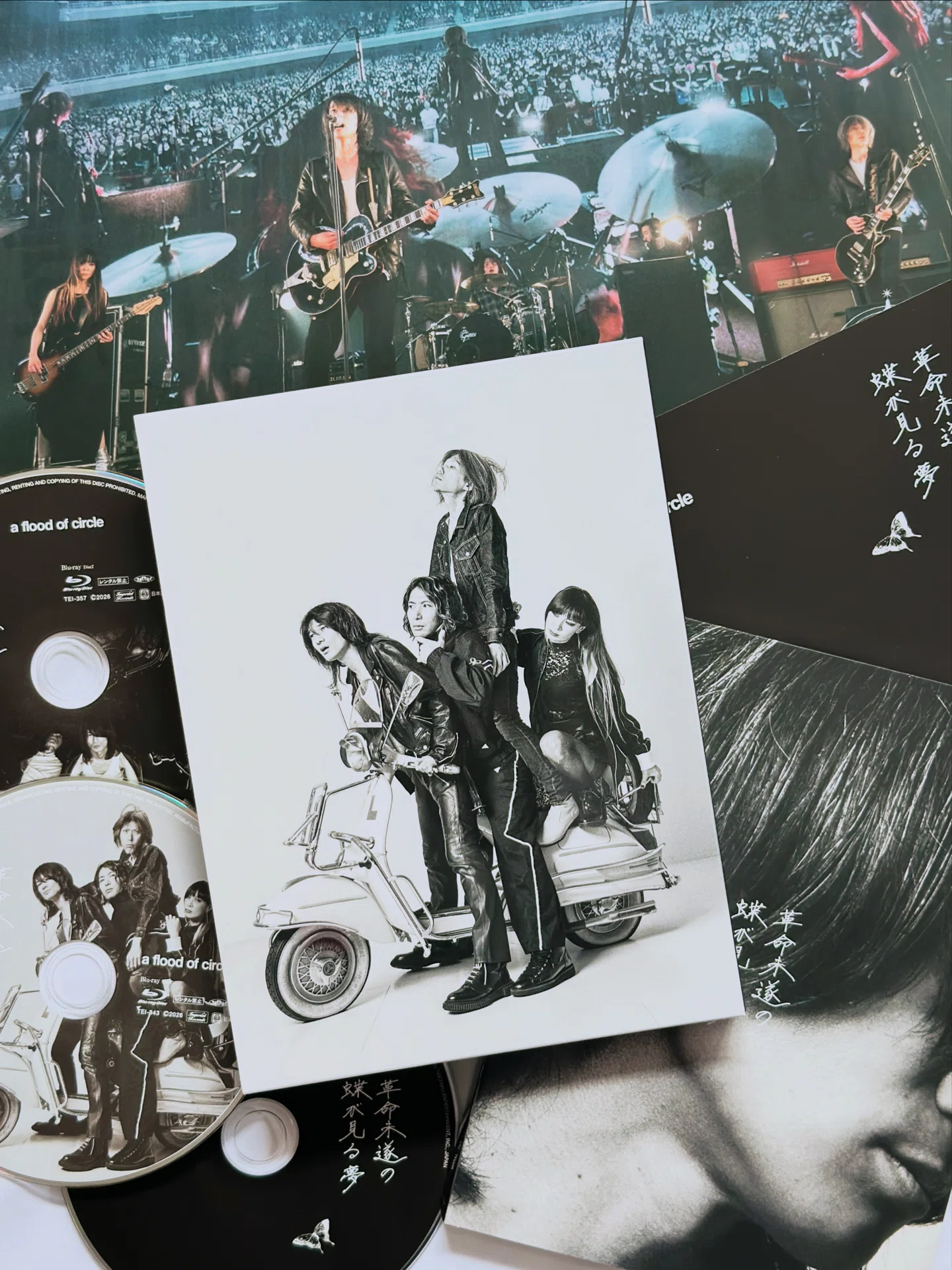 a flood of circle 革命未遂の蝶が見る夢 a flood of circle 20周年記念ベストアルバム『革命未遂の蝶が見る夢