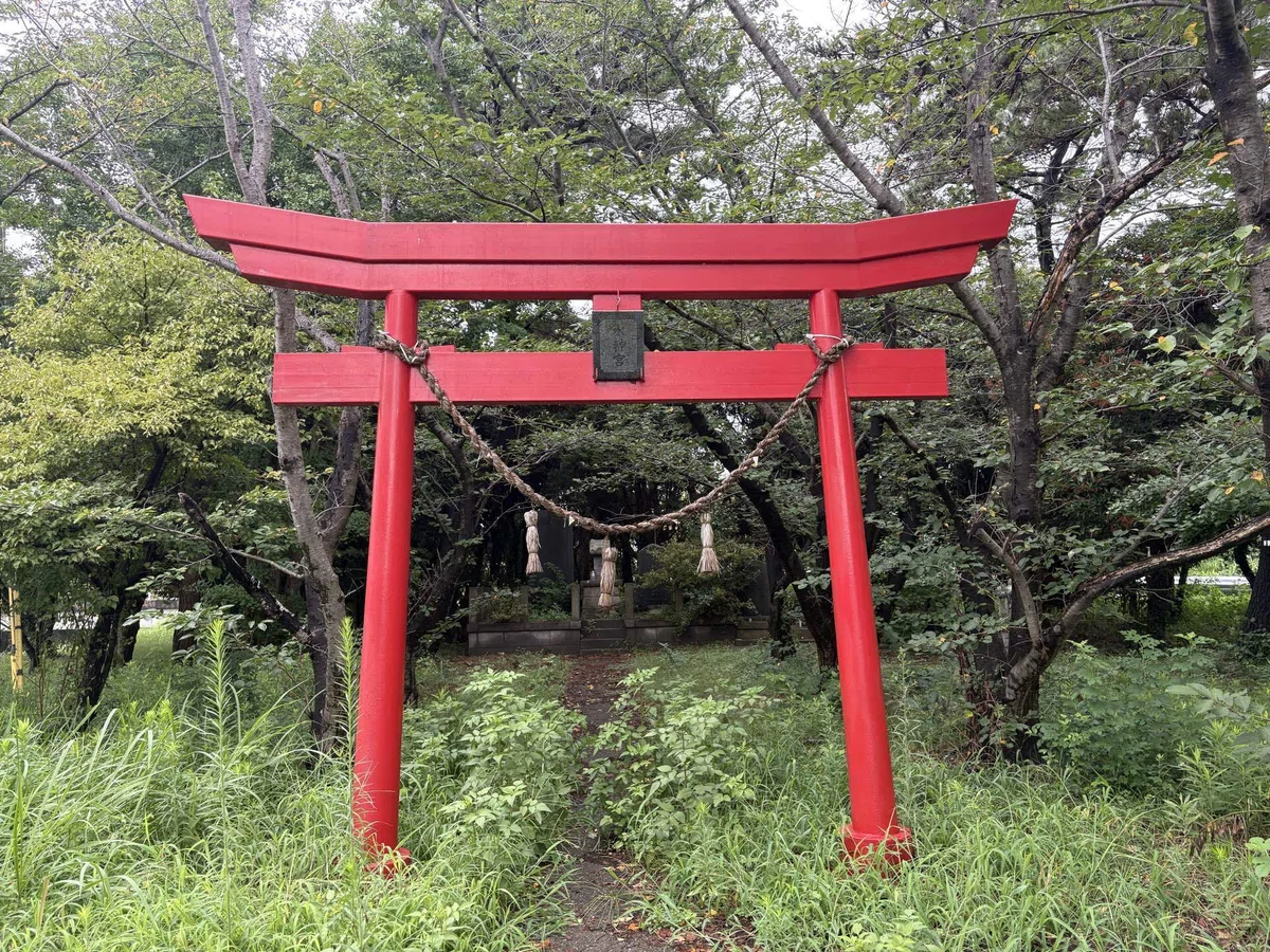 画像