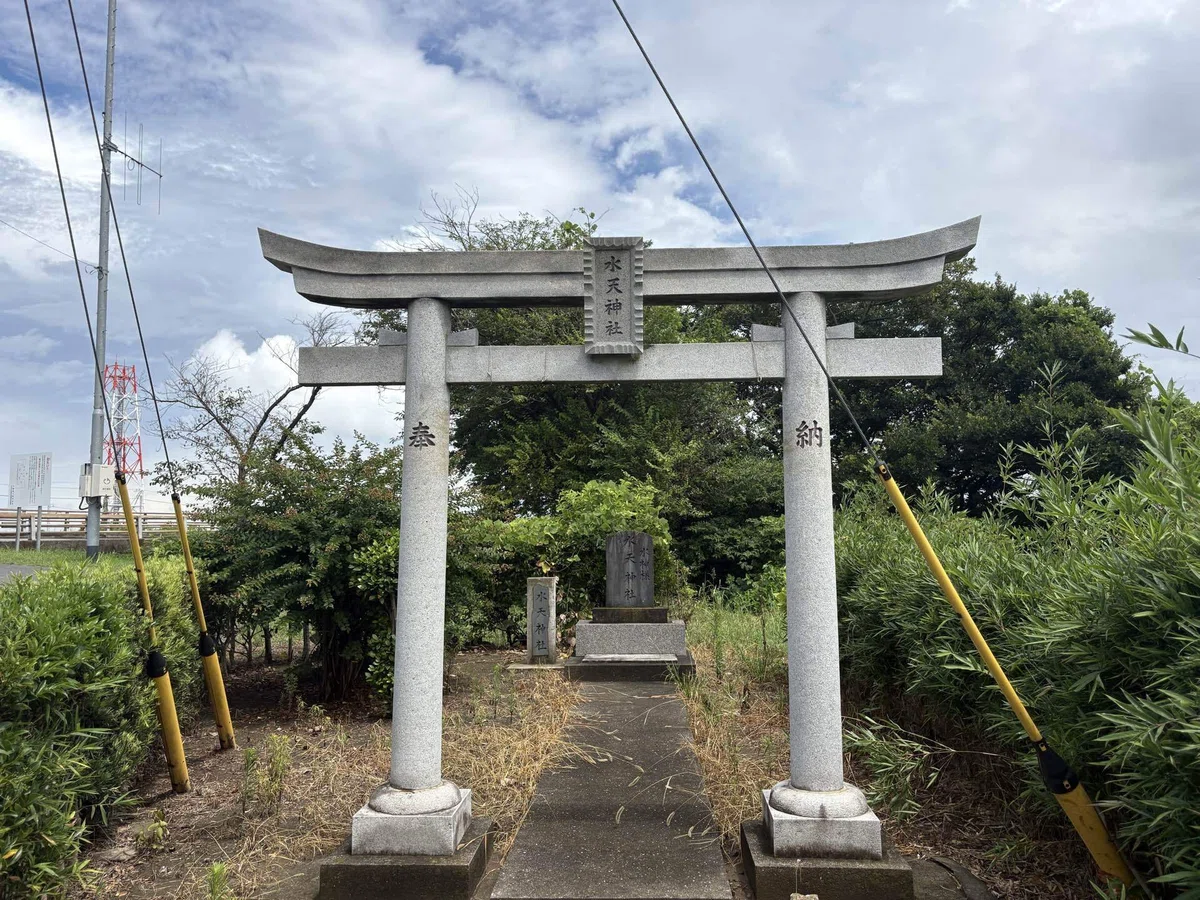 画像