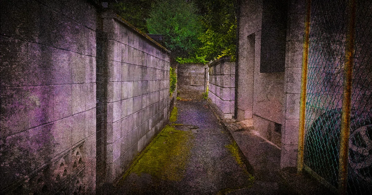 ç»å