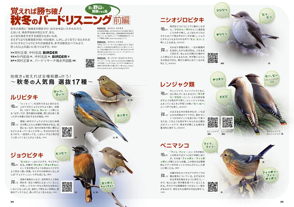 BIRDER9月号の見どころ｜ブンイチ（文一総合出版）