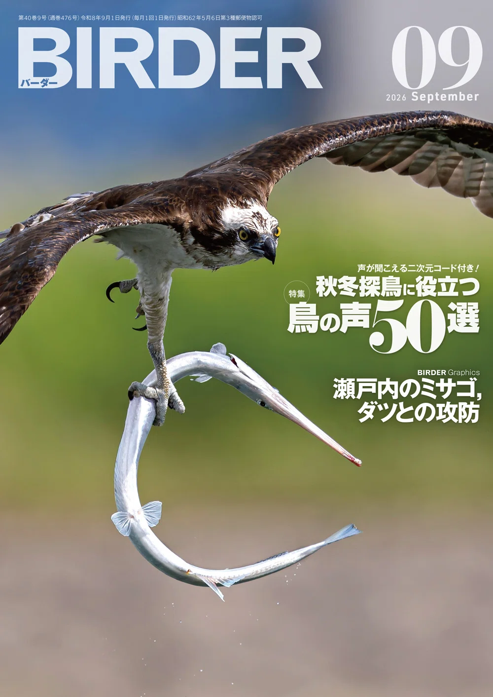 BIRDER9月号の見どころ｜ブンイチ（文一総合出版）