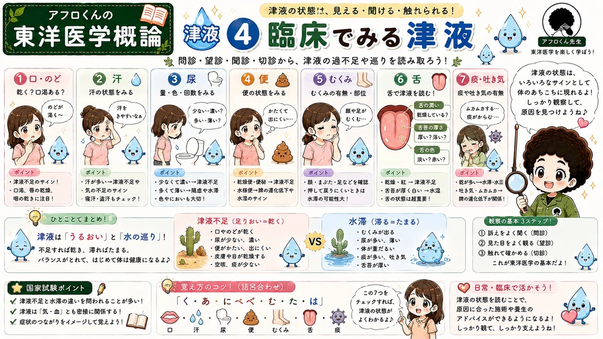 【東洋医学】津液とは？津と液の違い・5つの作用・津液不足と水滞｜アフロの手 東洋医学
