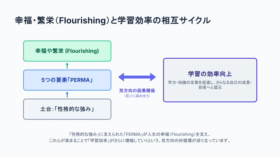 「性格的な強み」に支えられた「PERMA」が人生の幸福（Flourishing）を支え、
これらが高まることで「学習効率」がさらに増幅していくという、双方向の好循環が成り立っています。
