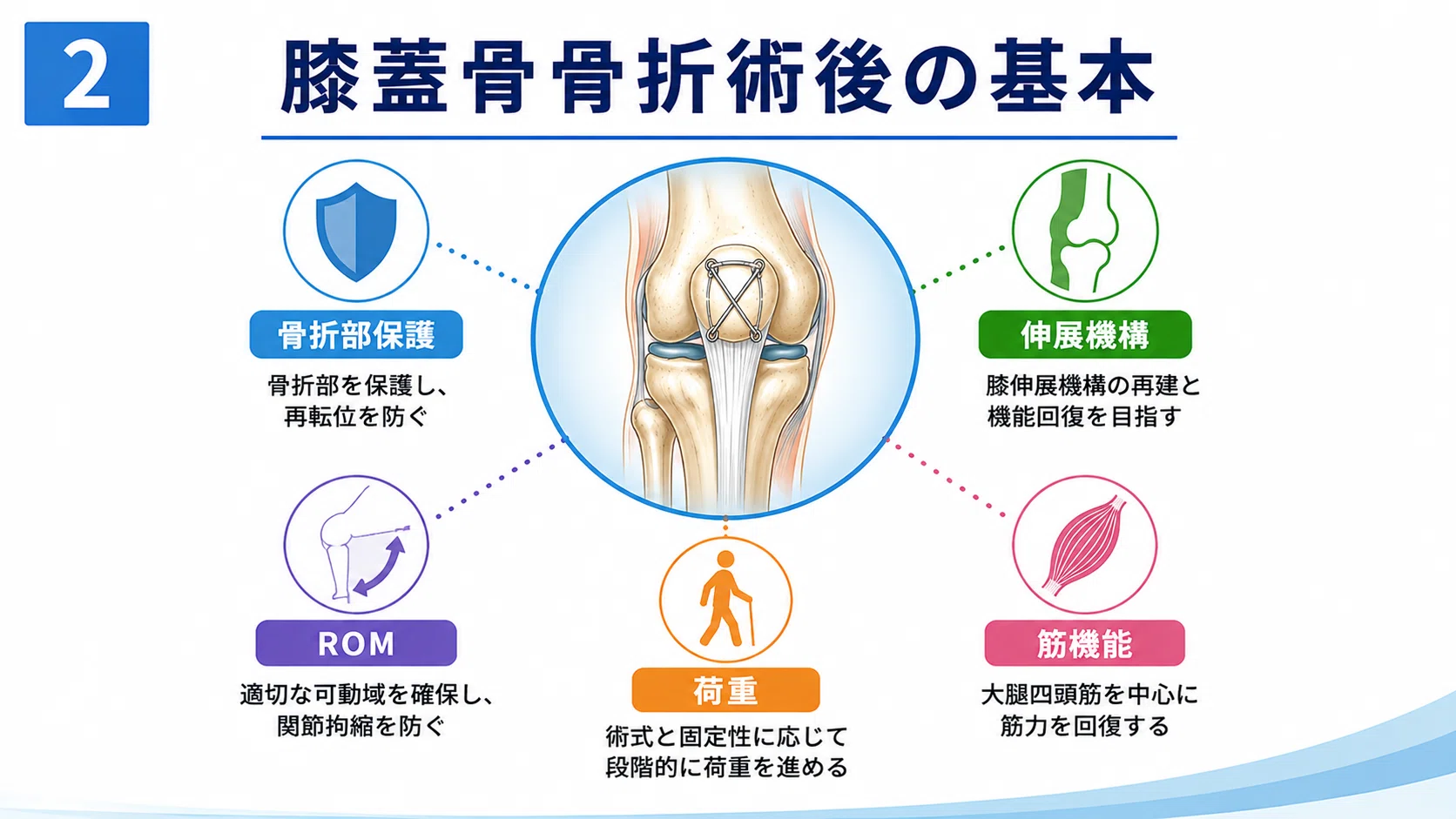 膝蓋骨骨折術後リハビリの進め方｜ROM・荷重・膝伸展機構をどう評価し
