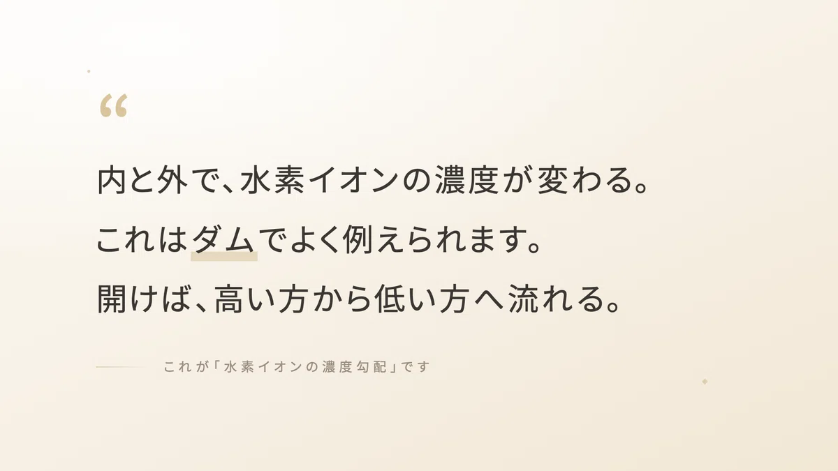 解糖系クエン酸回路電子伝達系 | 精密栄養学