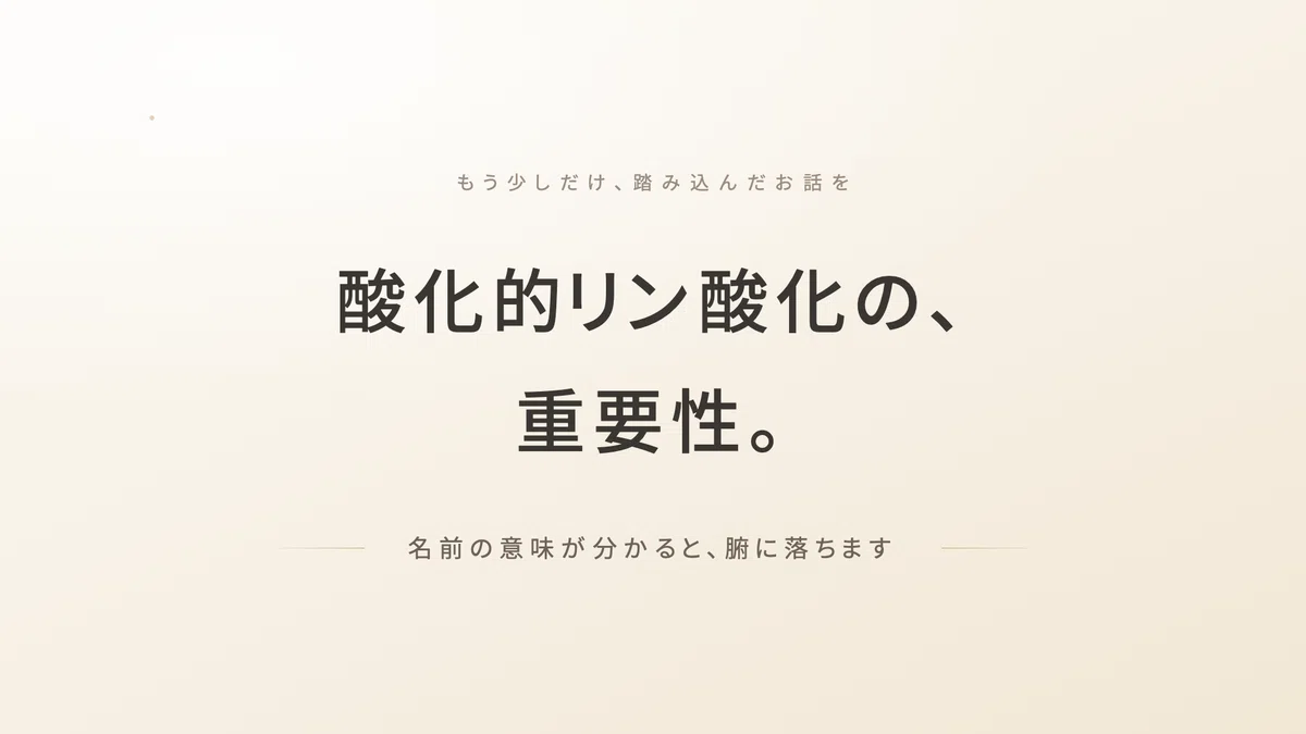 解糖系クエン酸回路電子伝達系 | 精密栄養学