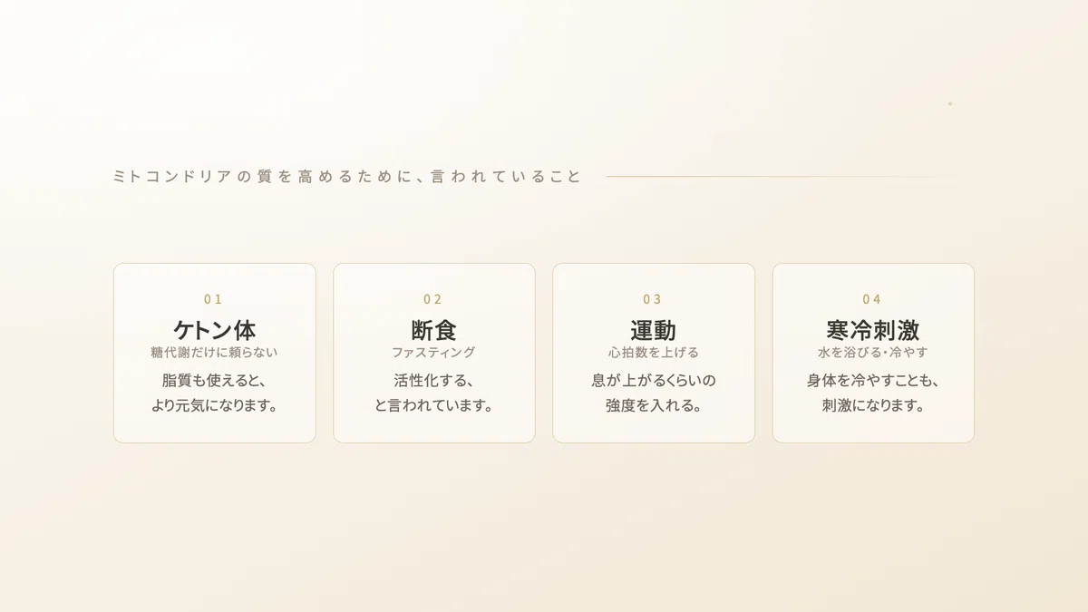 解糖系クエン酸回路電子伝達系 | 精密栄養学