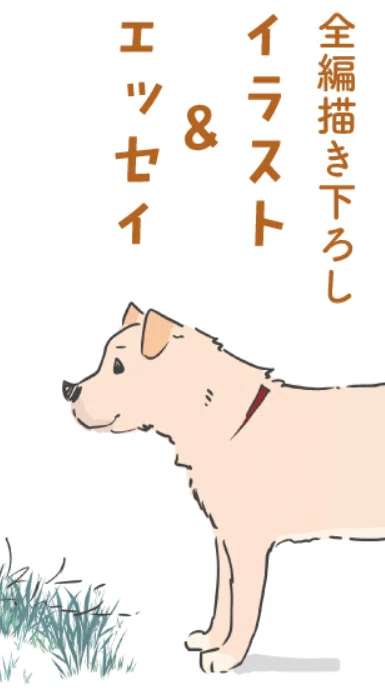 『老いゆく愛犬と暮らしたかけがえのない日々 ワンコ17歳 2』の内容画像