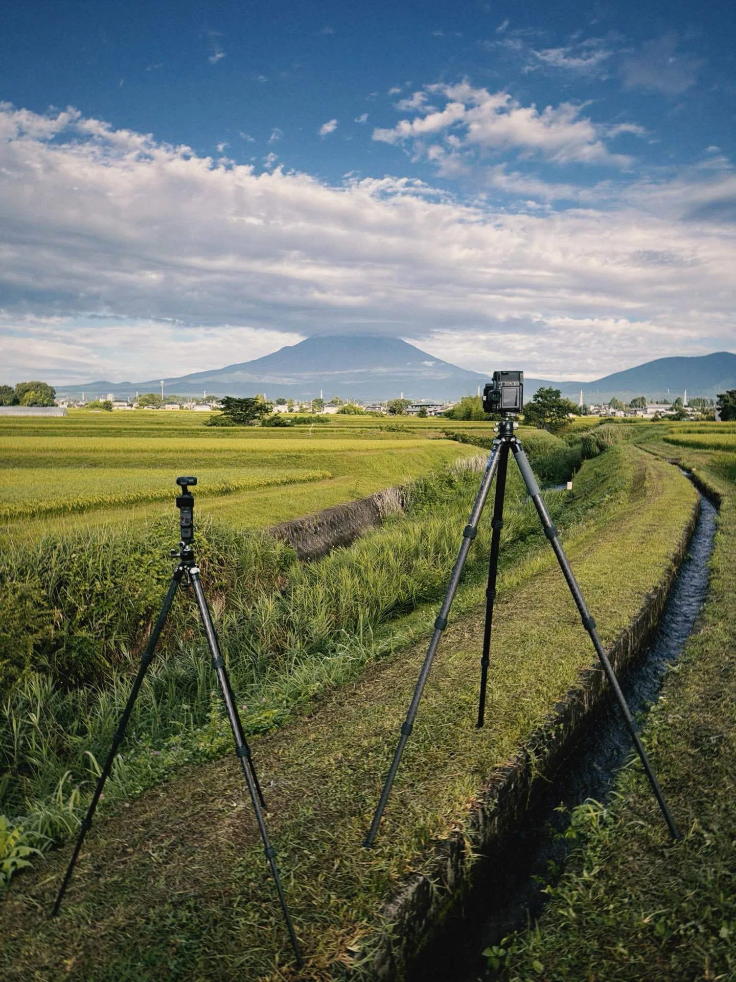 センサーサイズが12倍違っても、写真の差は分からなくなってきた。｜sho