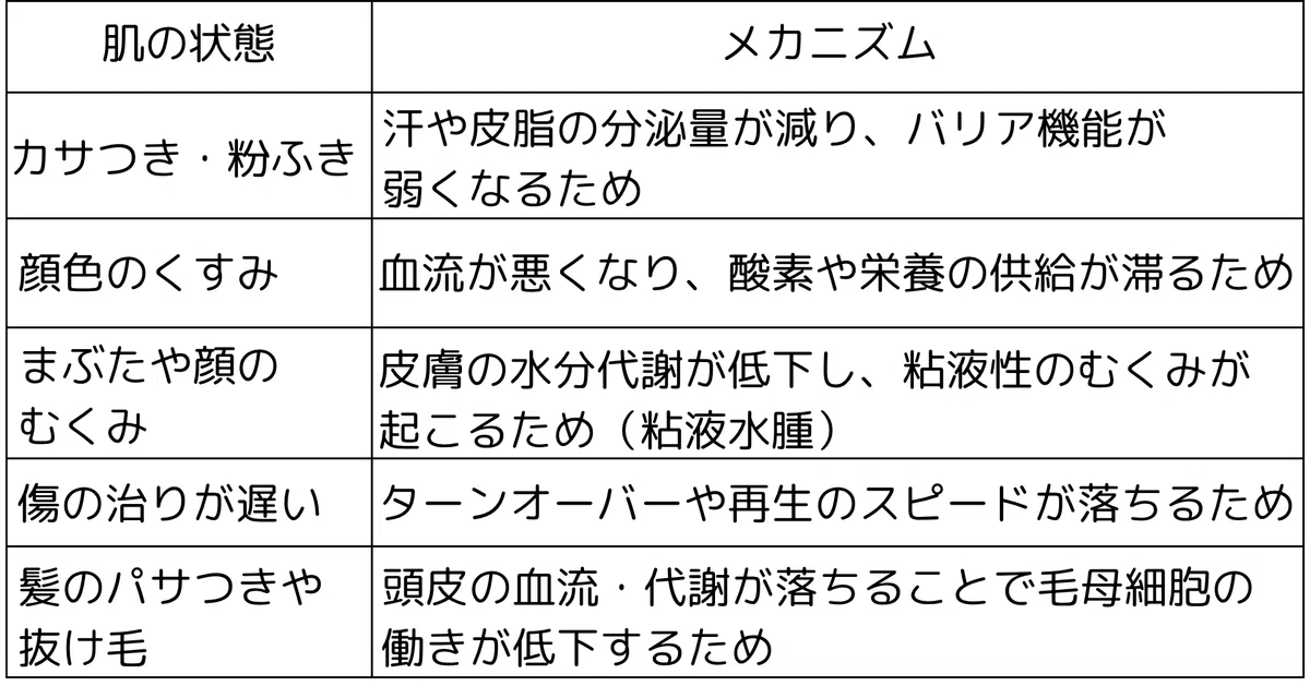 •	体温や血流を調整する
•	肌のターンオーバー（新陳代謝）を促す
•	汗や皮脂の分泌をコントロール、バリアを作る脂質の産生をして潤いを保つ
そのため、甲状腺ホルモンが不足してエンジンがかかりにくくなると、肌には次のようなトラブルが現れてきます。
•	カサつき・粉ふき： 汗や皮脂の分泌量が減って、バリア機能が弱くなるため
•	顔色のくすみ： 血流が悪くなり、酸素や栄養が届かなくなるため
•	まぶたや顔のむくみ： 水分代謝が低下し、特有のむくみ（粘液水腫）が起こるため
•	傷の治りが遅い： ターンオーバーや再生スピードが落ちるため
•	髪のパサつき・抜け毛： 頭皮の血流・代謝低下で毛母細胞の働きが落ちるため
