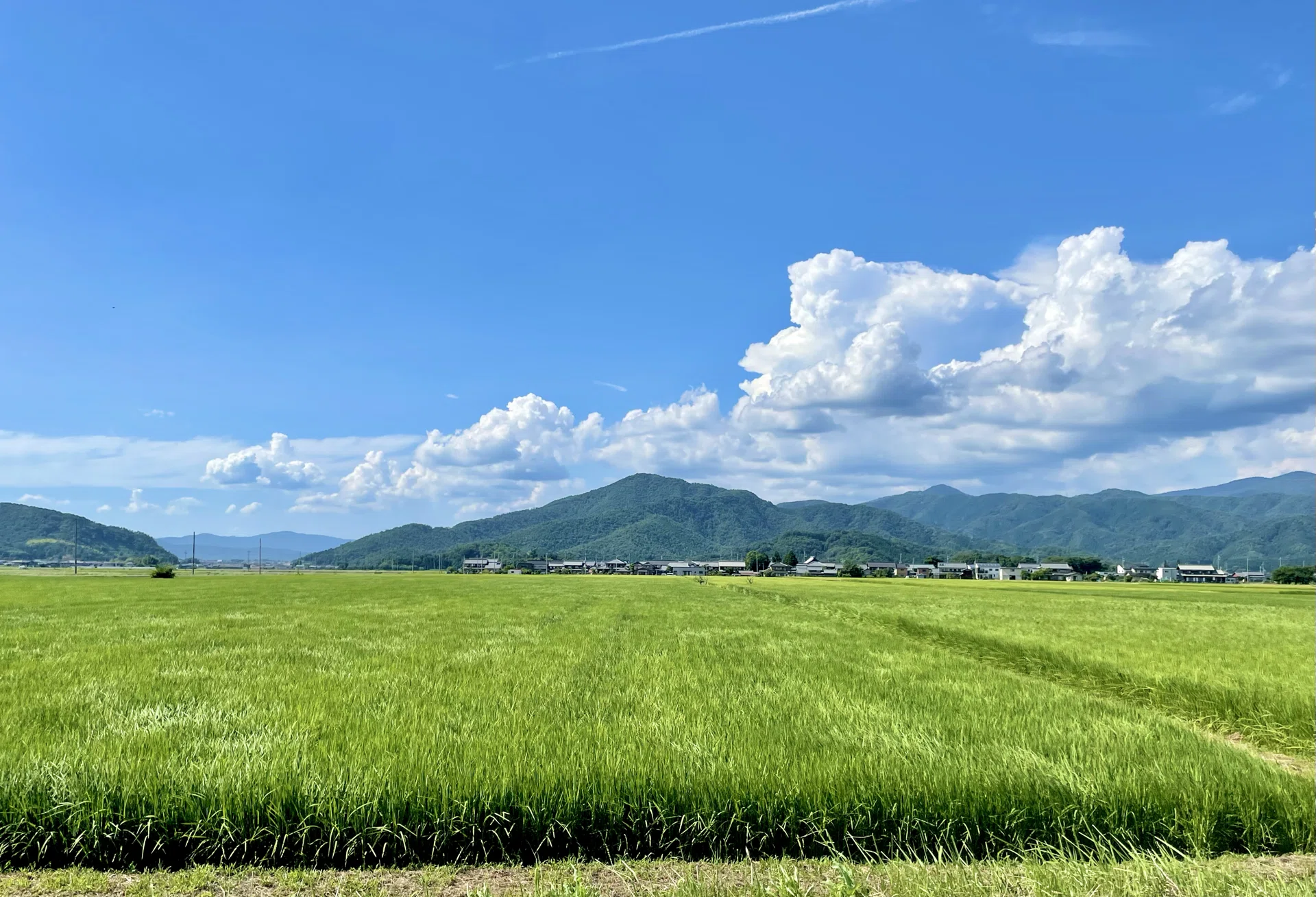 心に残る、夏の風景。｜moe | カメラ好き夫婦で世界旅