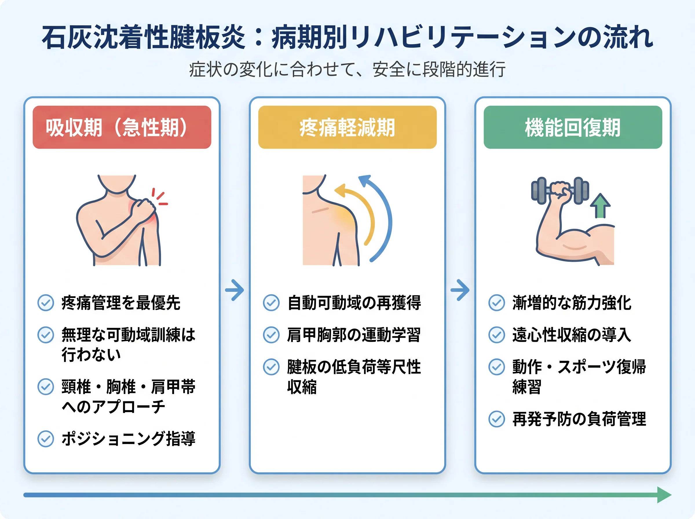 石灰沈着性腱板炎とは？若手理学療法士のための病態・評価・治療介入の