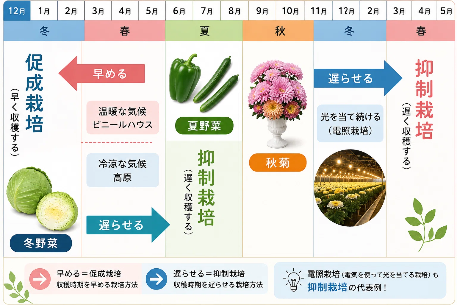 抑制 栽培 と は